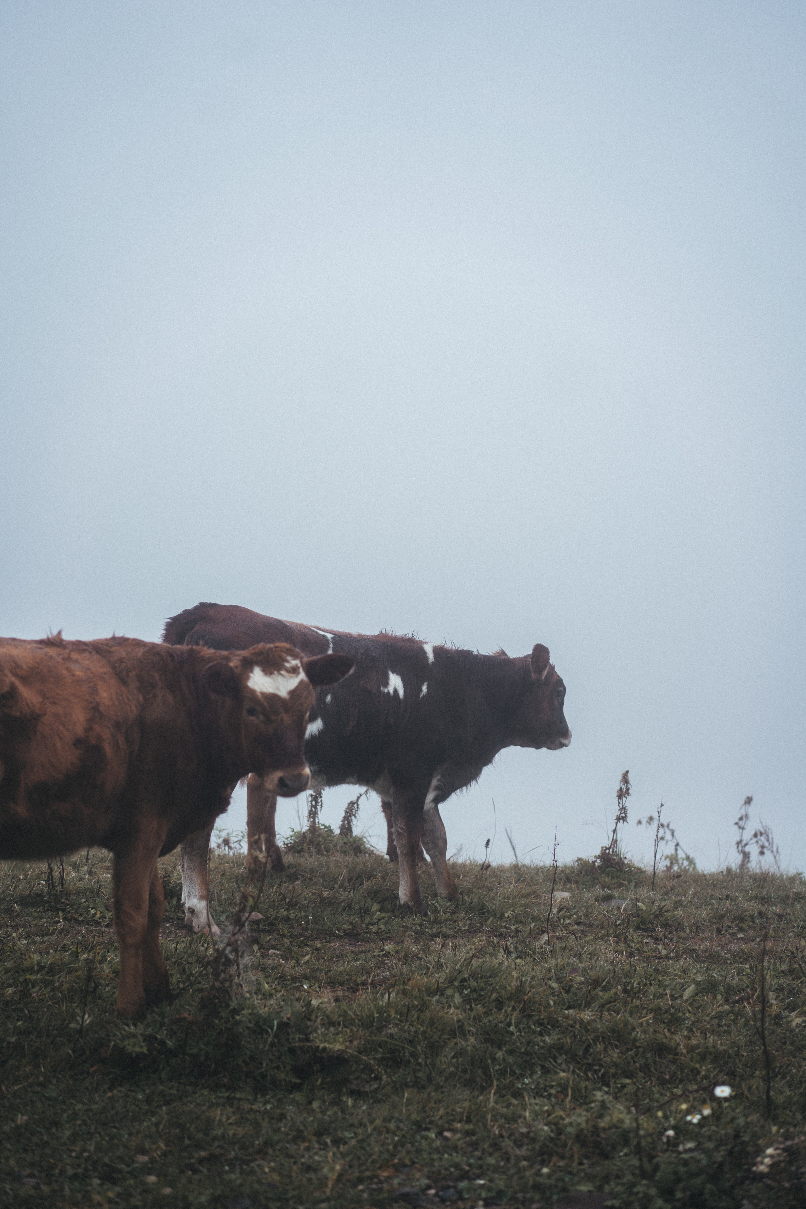 По дороге к Джилы- Су. Фотограф Дарья Филатова