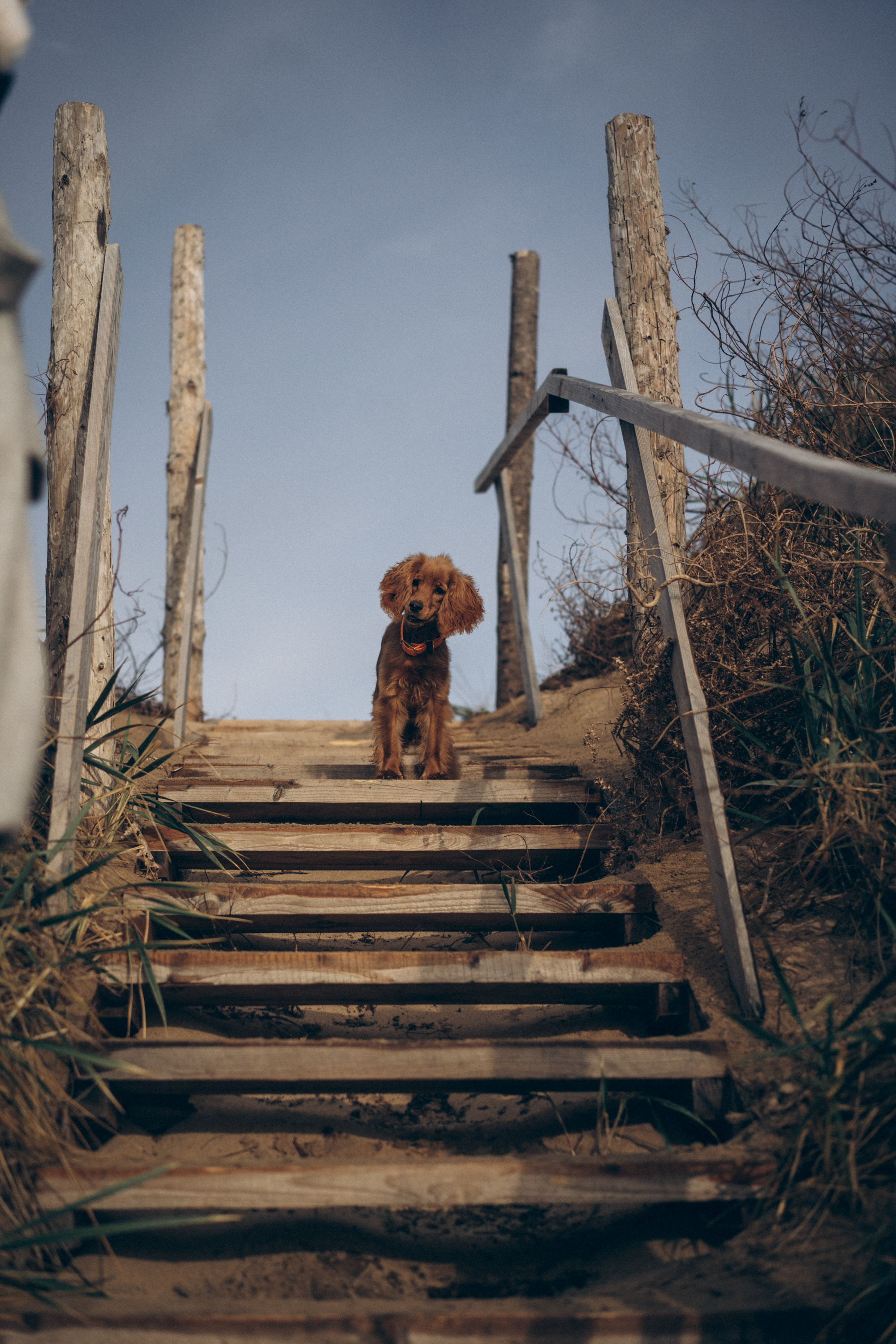 One day and black sea. Фотограф Дарья Филатова