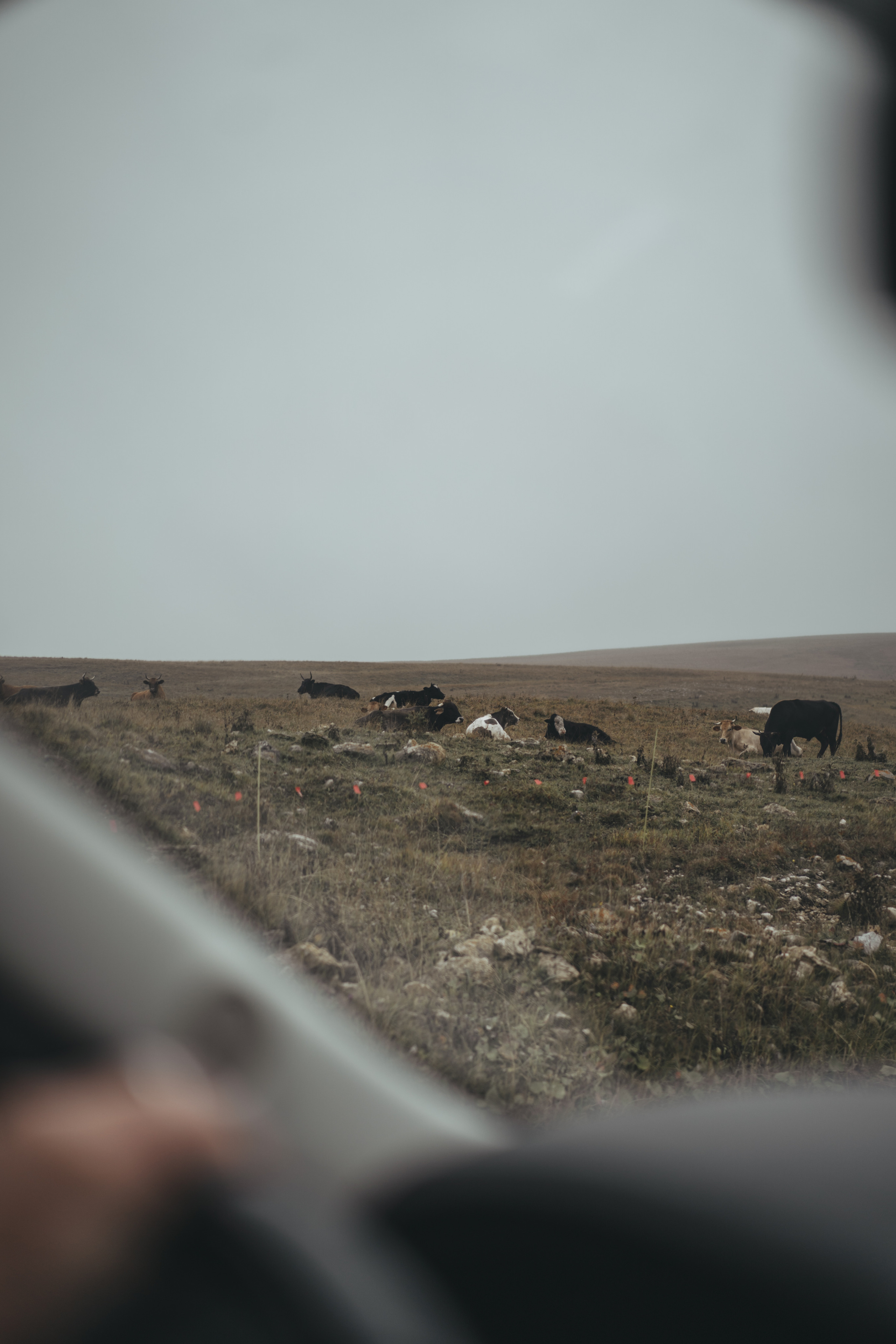 По дороге к Джилы- Су. Фотограф Дарья Филатова