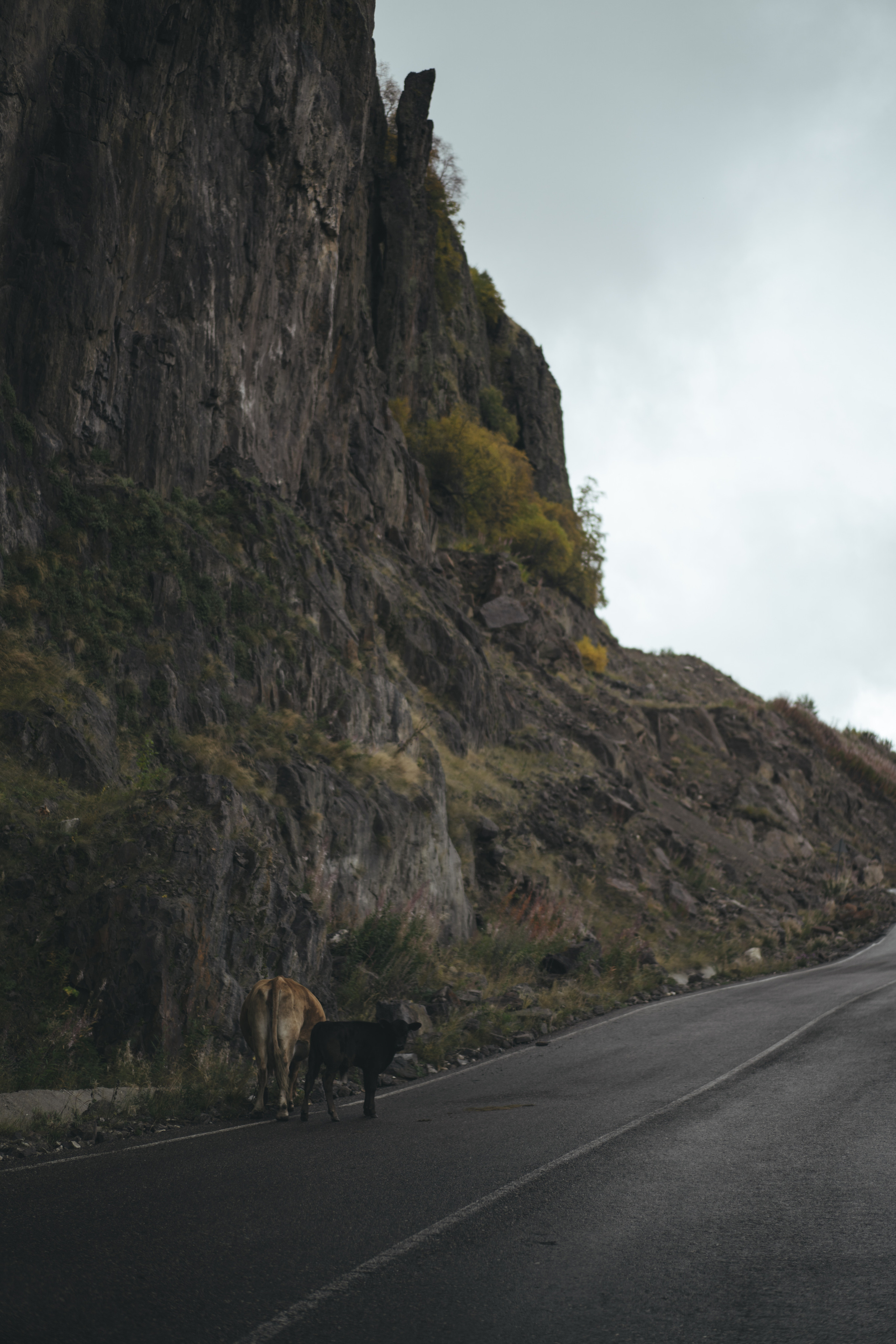 По дороге к Джилы- Су. Фотограф Дарья Филатова