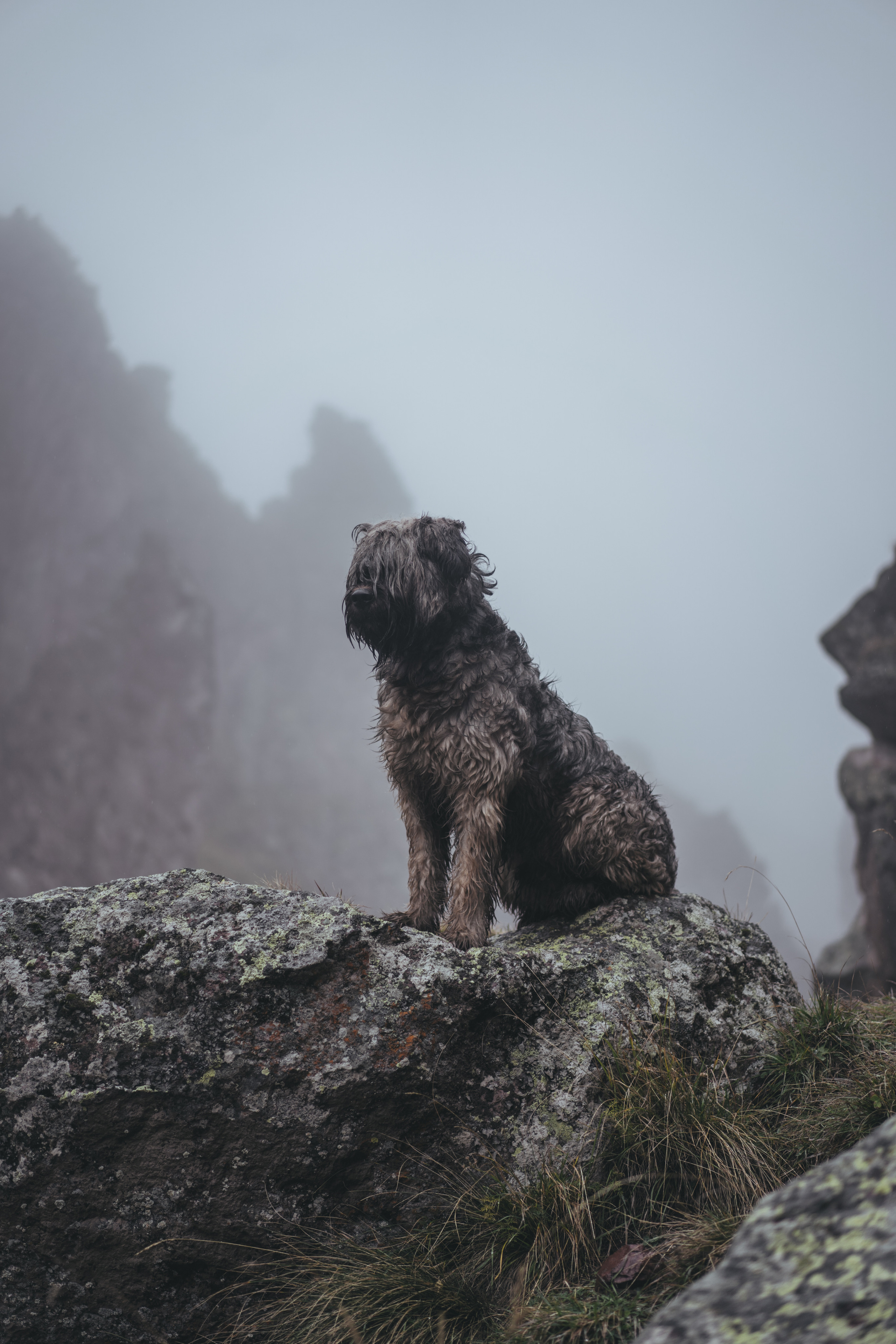 По дороге к Джилы- Су. Фотограф Дарья Филатова