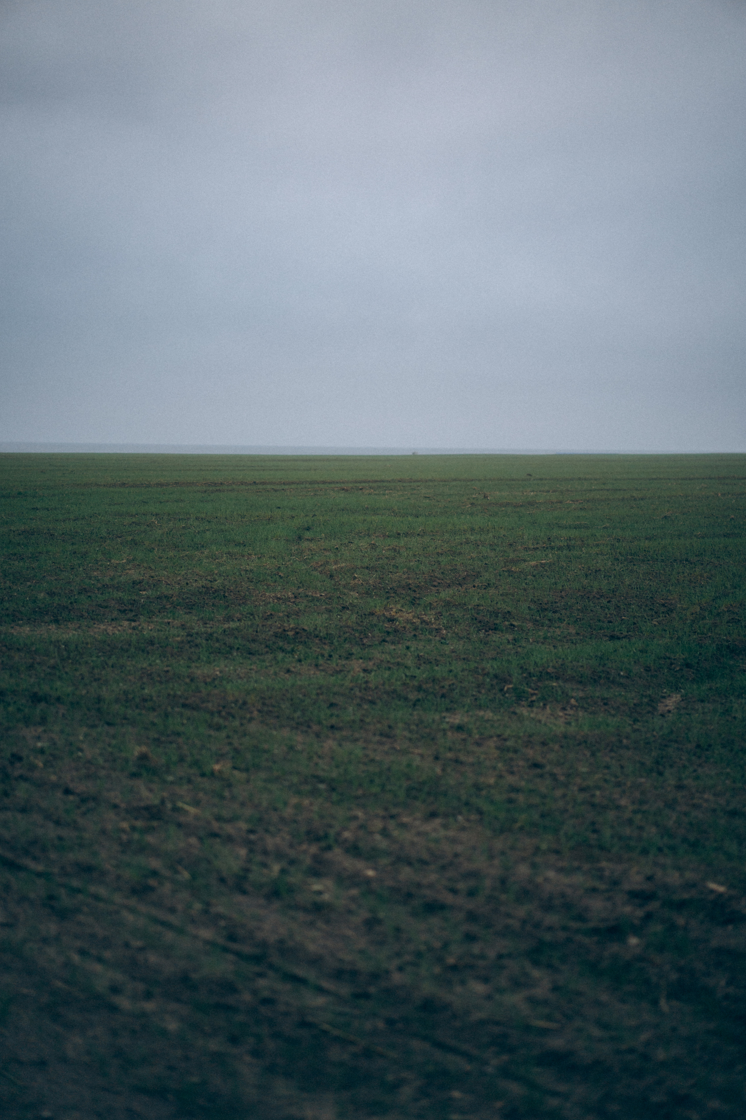 В сказке. Фотограф Дарья Филатова