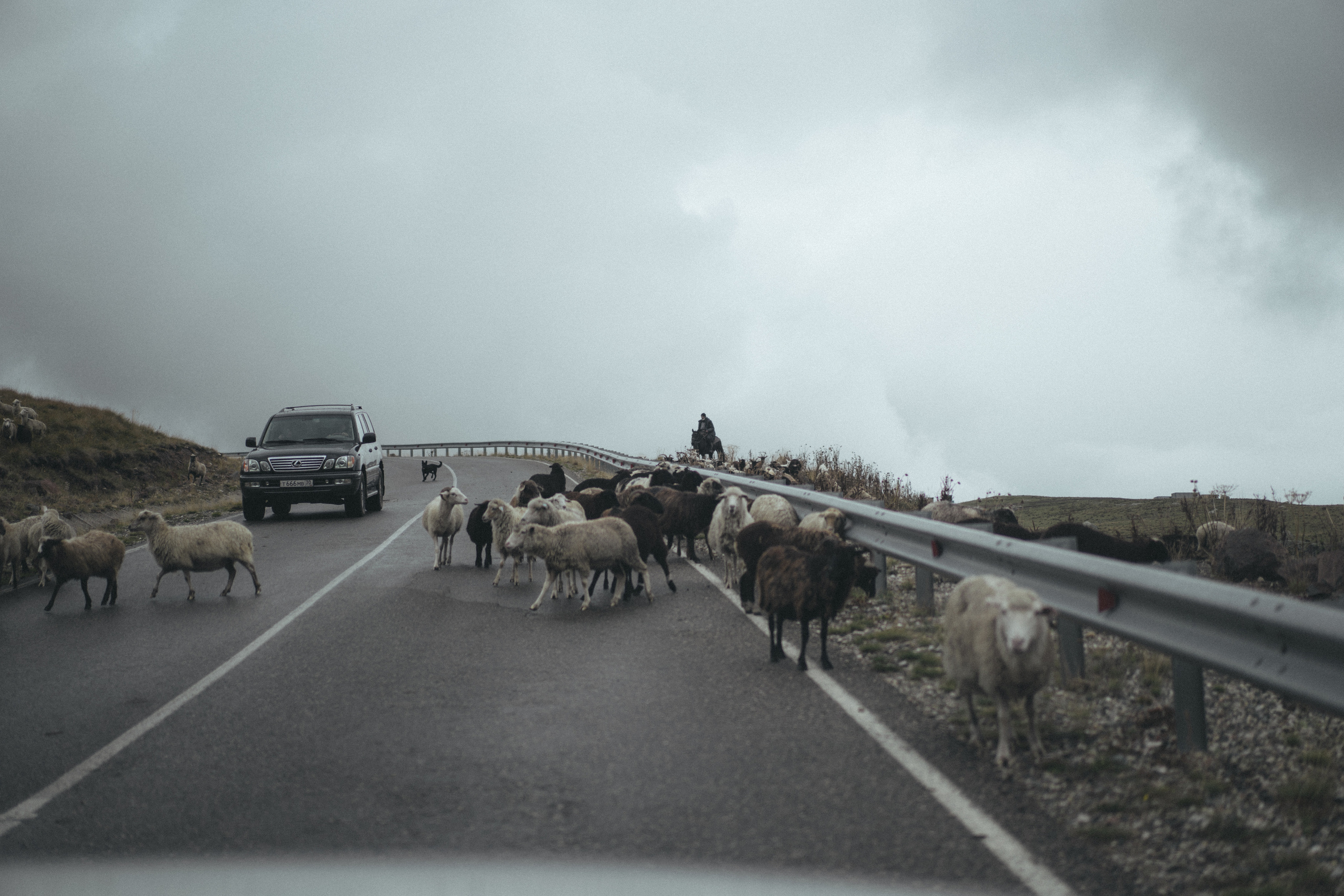 По дороге к Джилы- Су. Фотограф Дарья Филатова