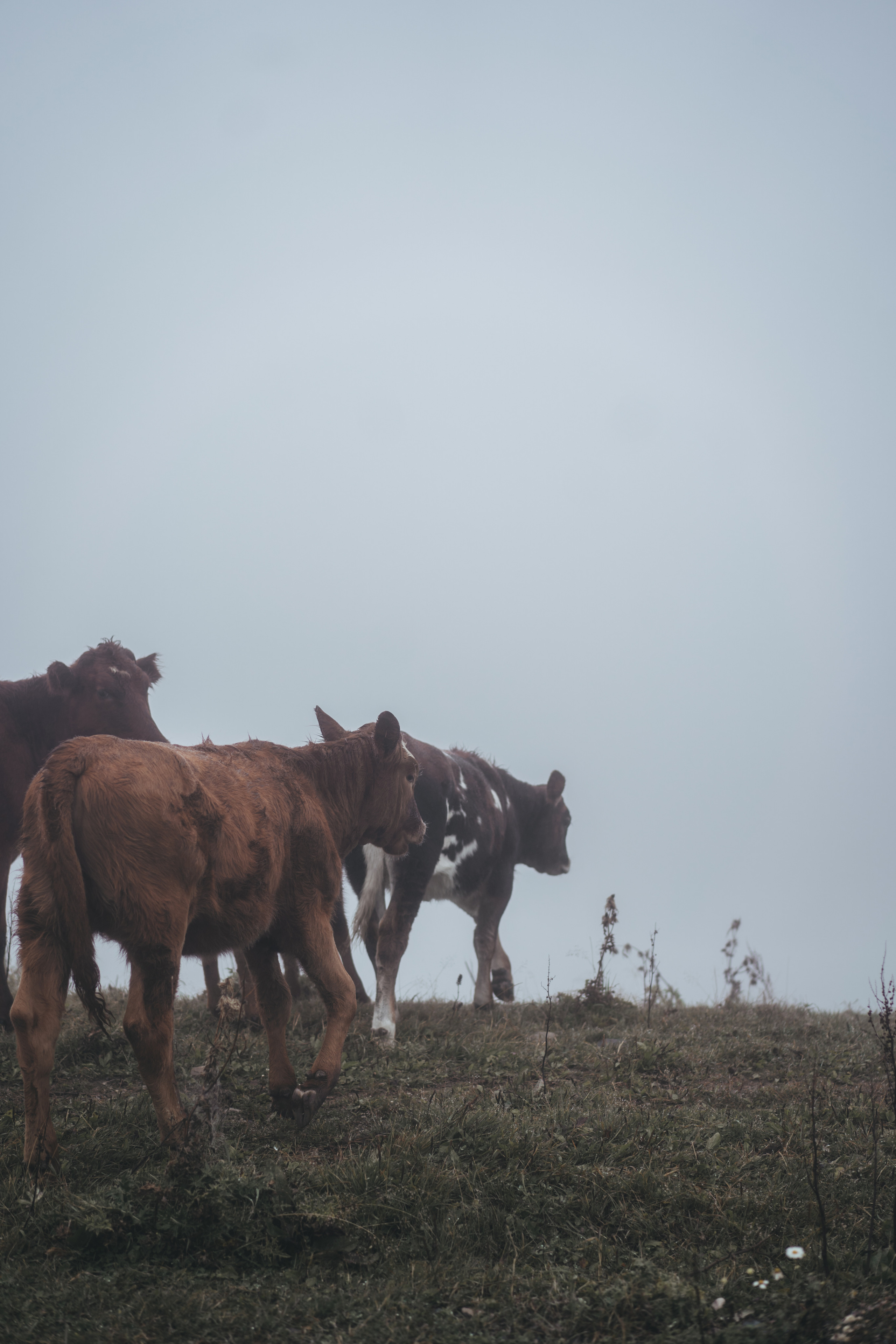 По дороге к Джилы- Су. Фотограф Дарья Филатова