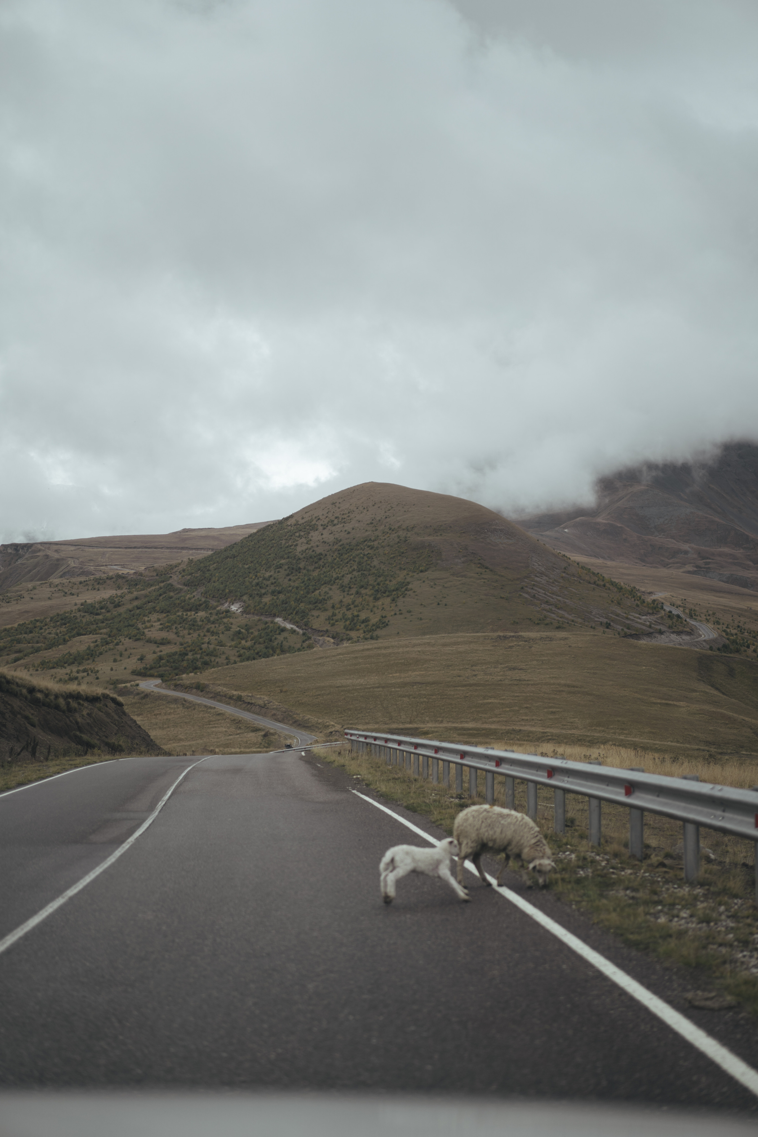 По дороге к Джилы- Су. Фотограф Дарья Филатова