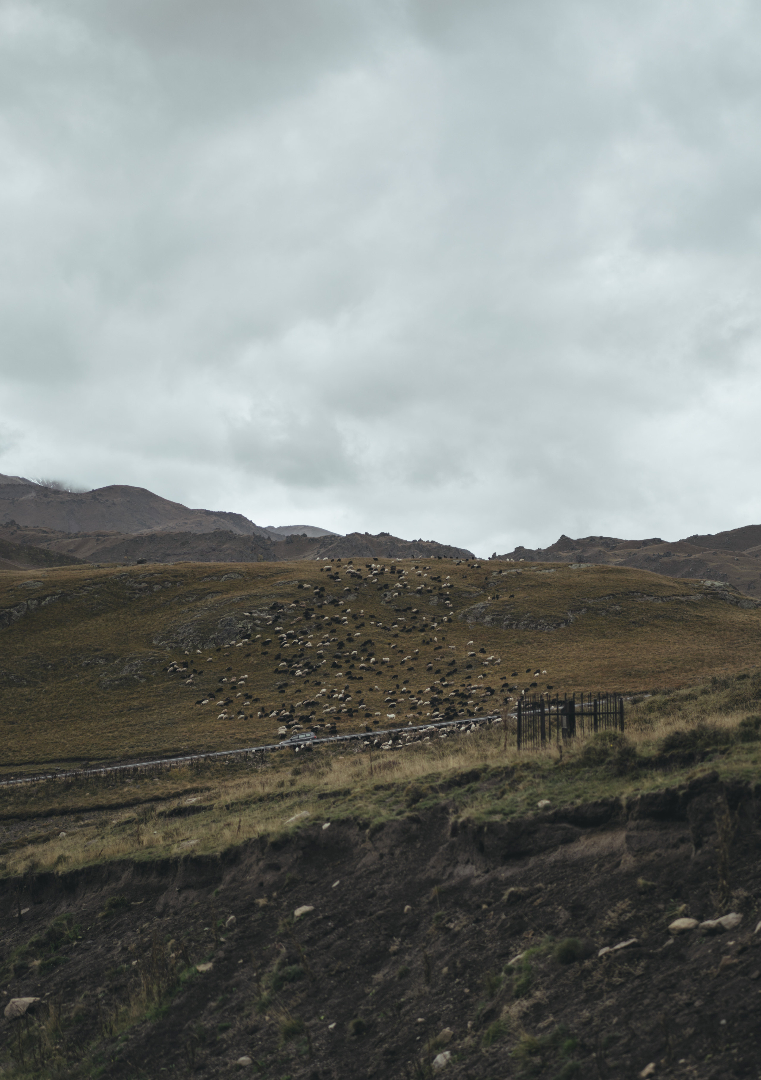 По дороге к Джилы- Су. Фотограф Дарья Филатова