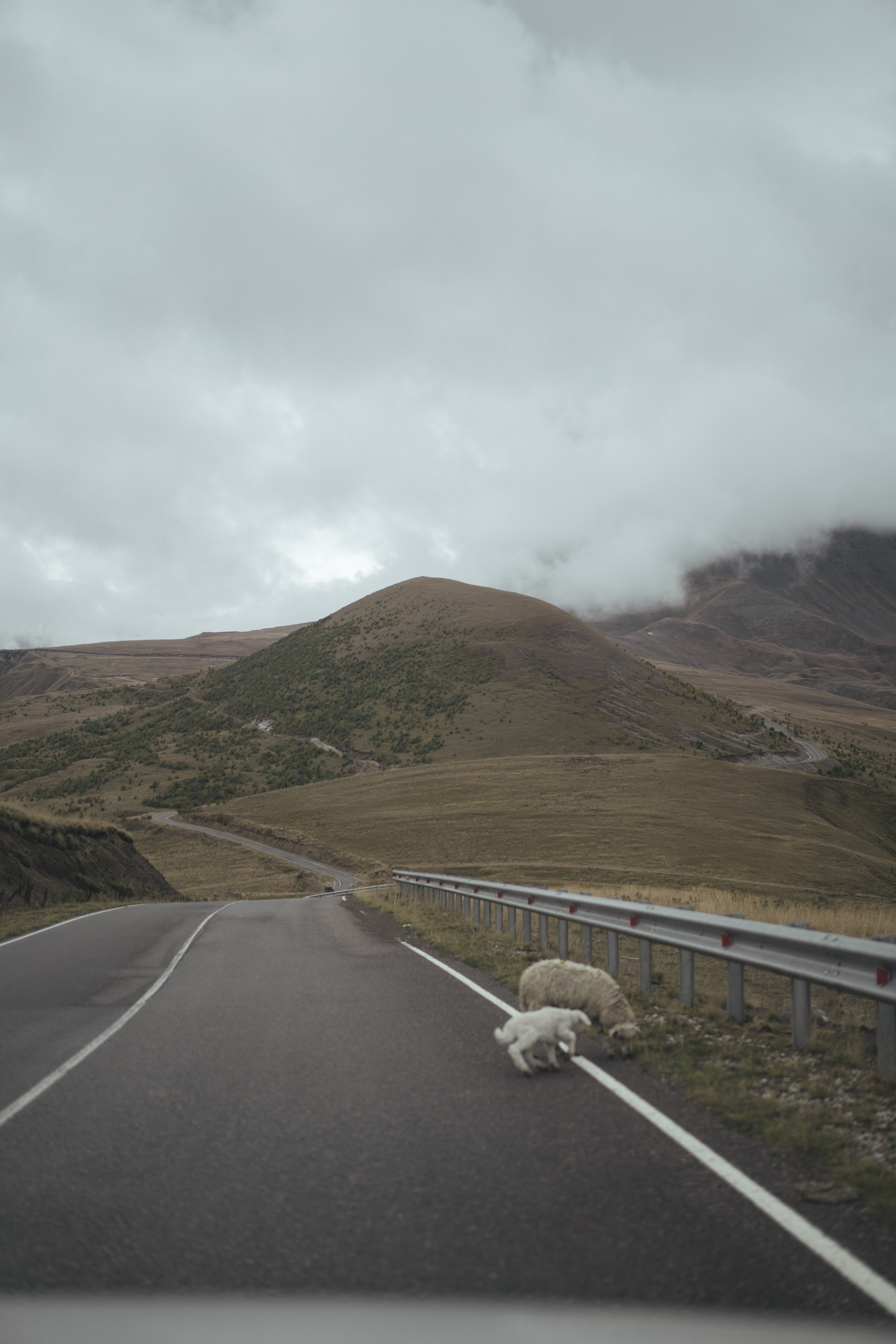 По дороге к Джилы- Су. Фотограф Дарья Филатова