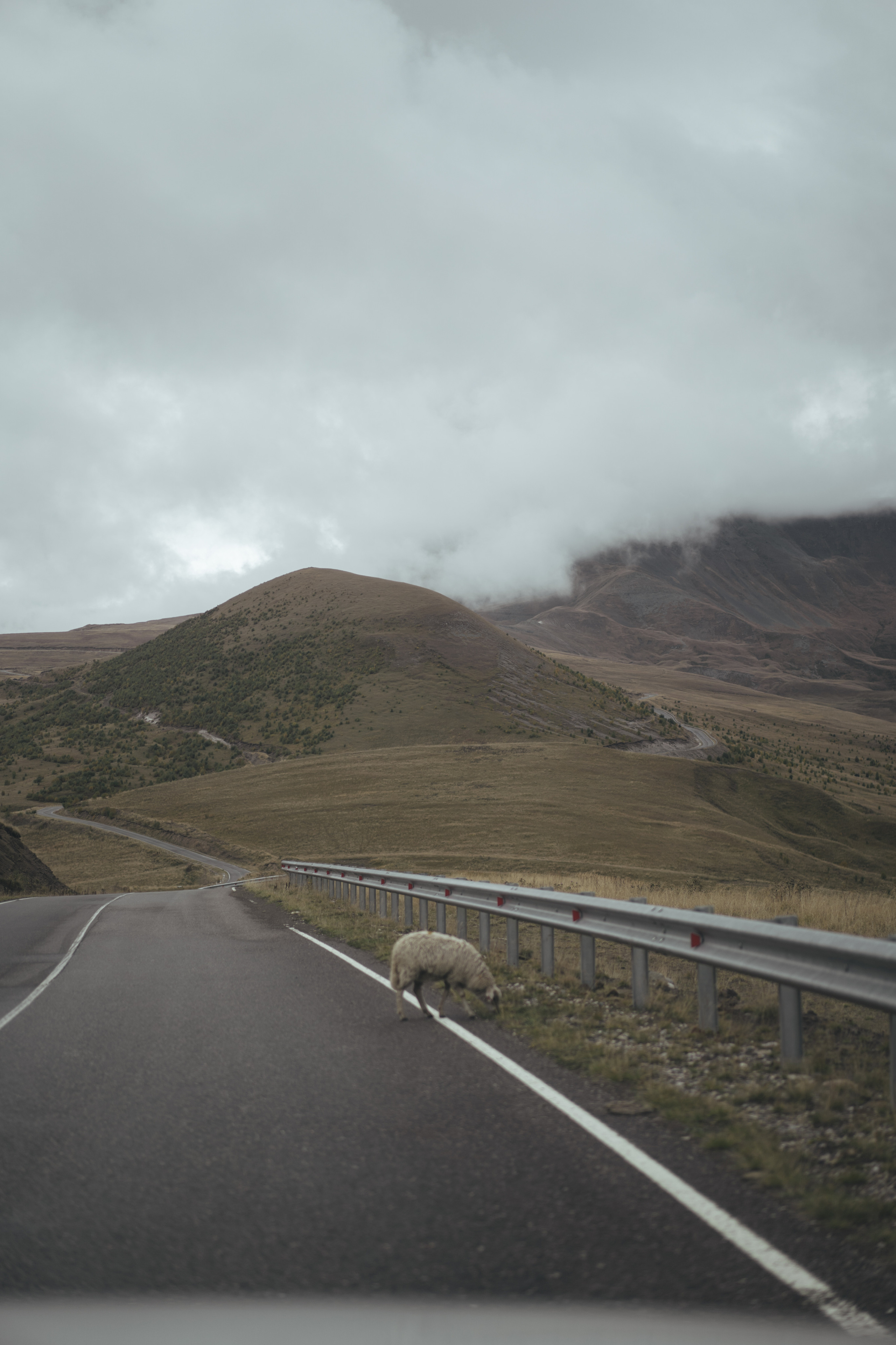 По дороге к Джилы- Су. Фотограф Дарья Филатова