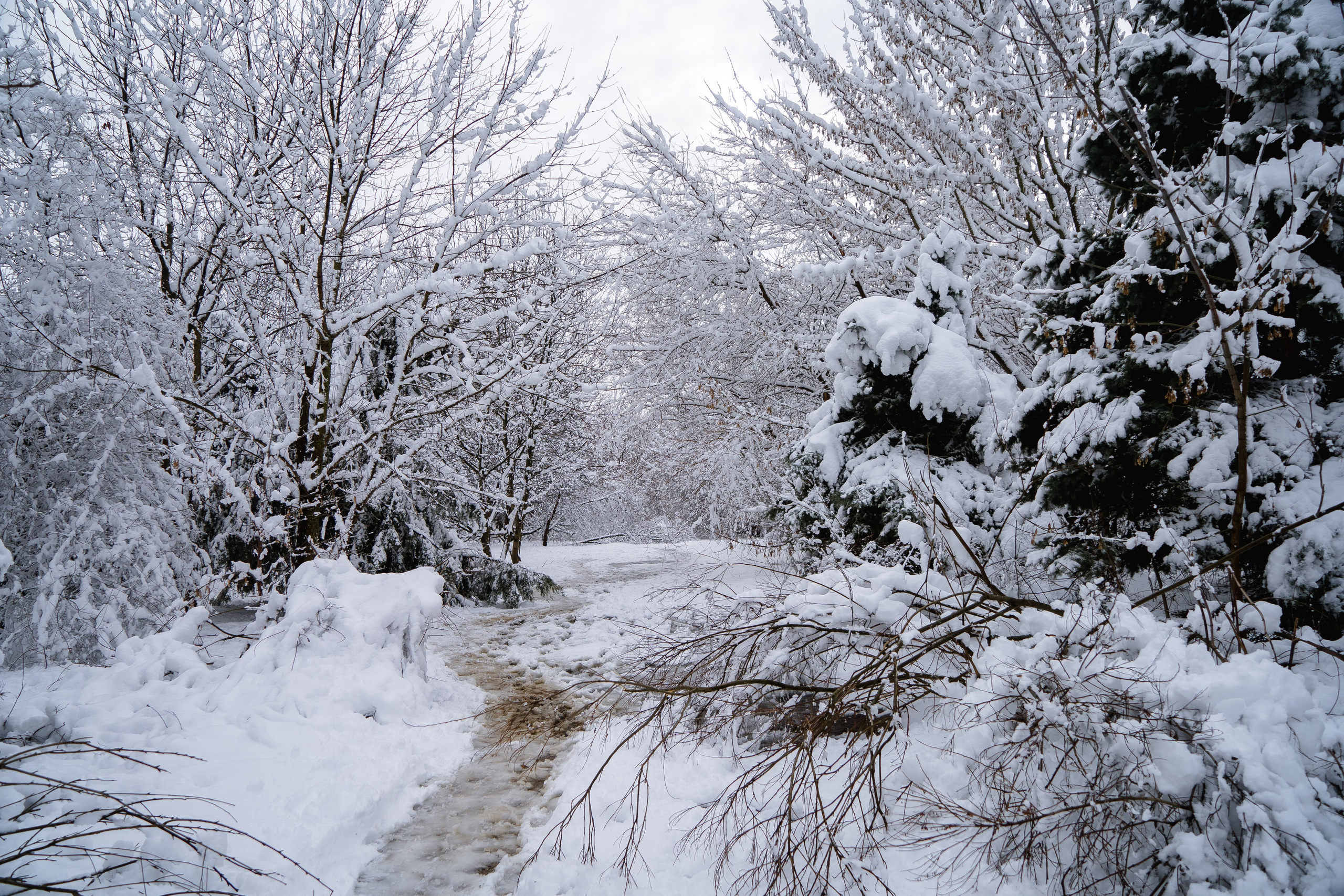 Зима 2024. Свадебный и семейный фотограф/видеограф в Краснодаре Наталья Осинская