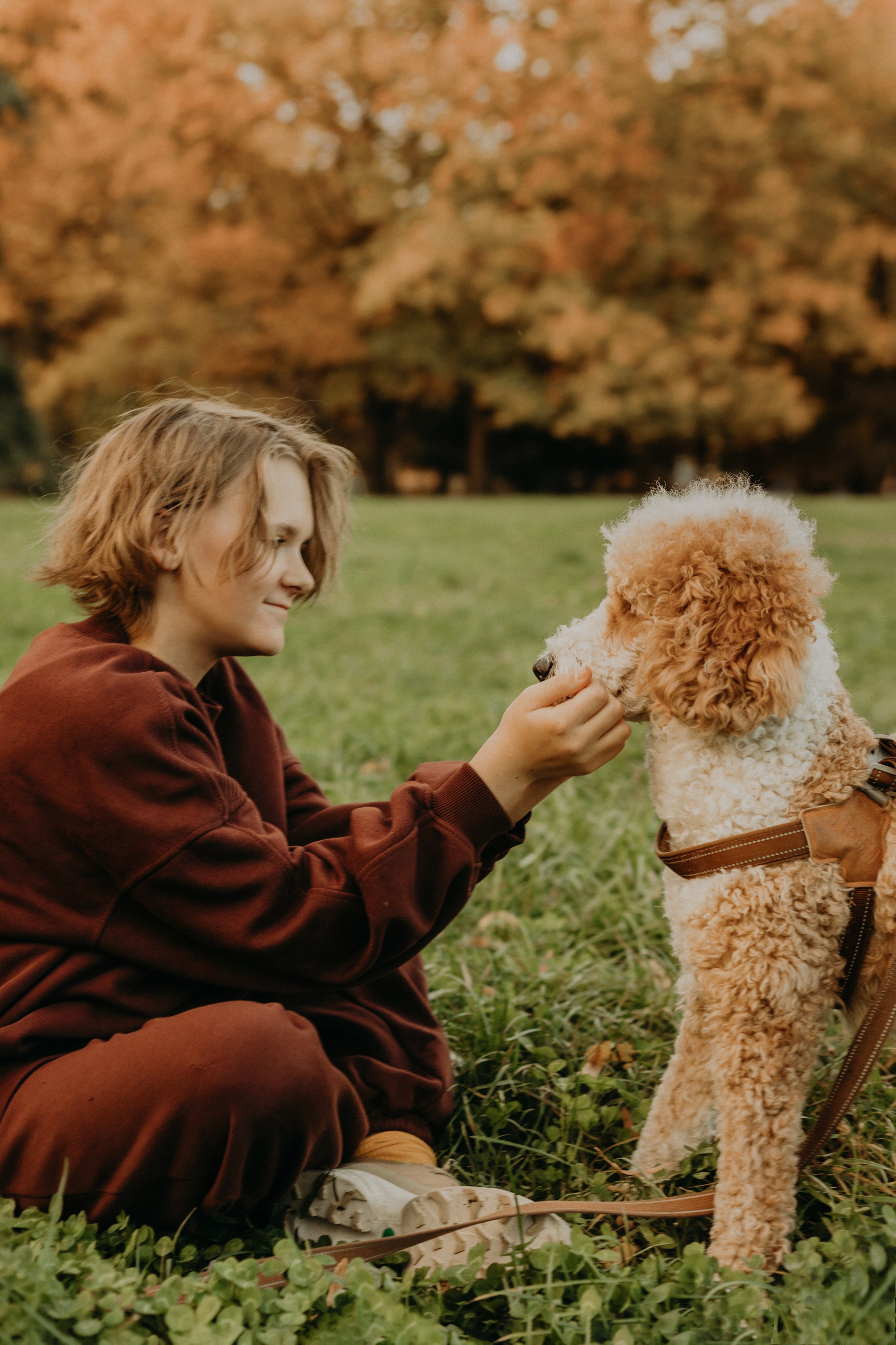 Пуф и его семья. Фотограф в Краснодаре Евгения Михаевич