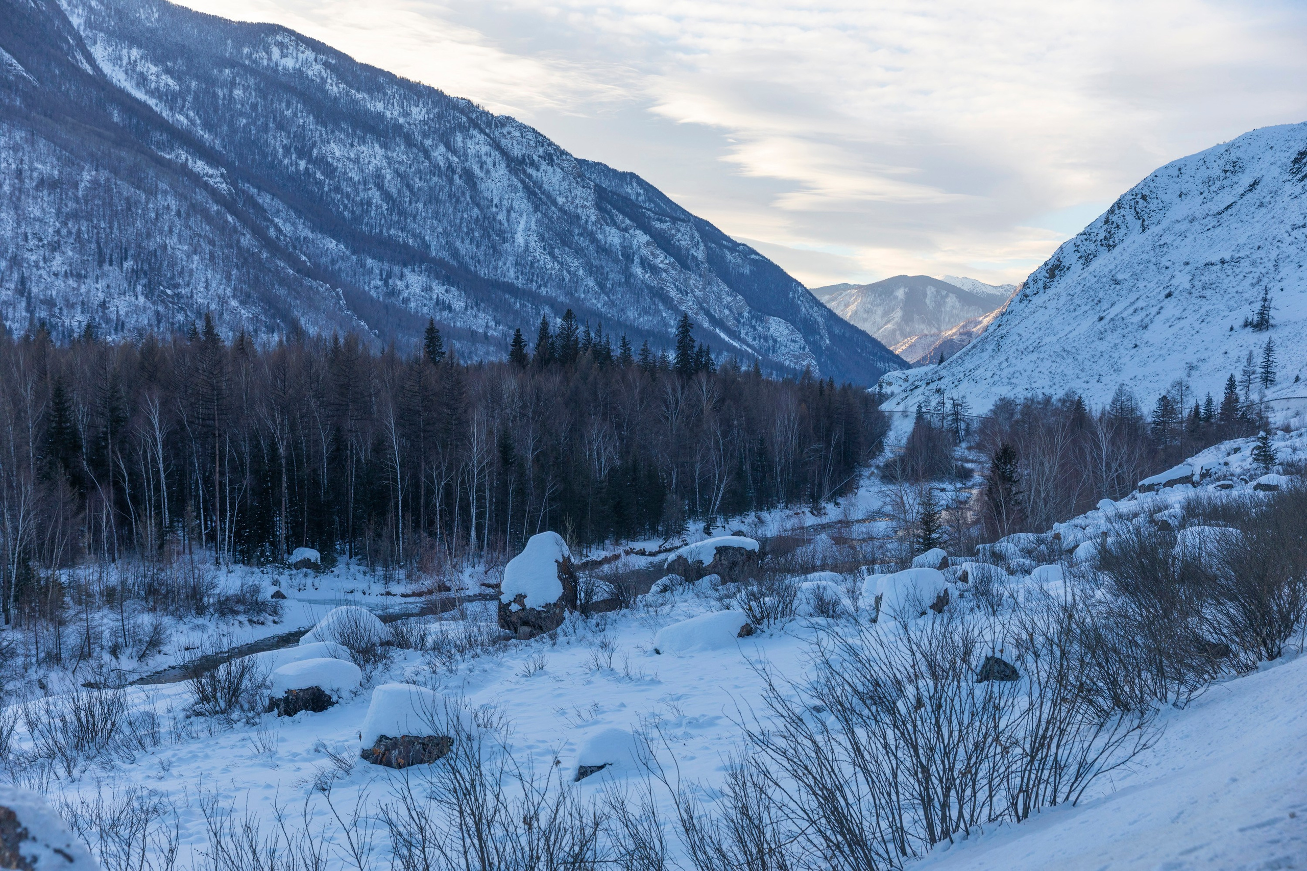Алтай в декабре. Марина Захарова — Фотограф. Москва / Marina Zakharova — Photographer