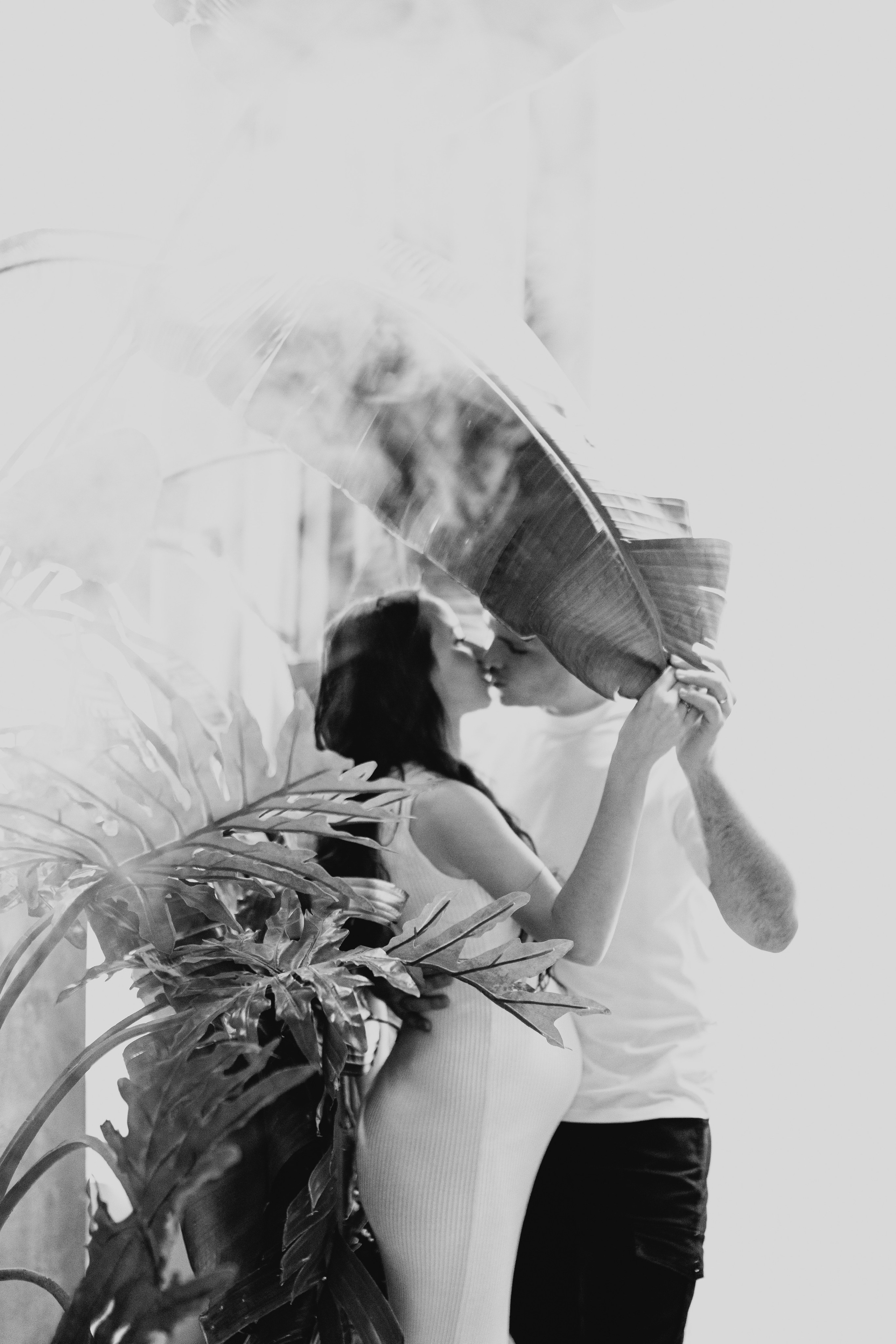 В Оранжерее. Андрейко Надежда