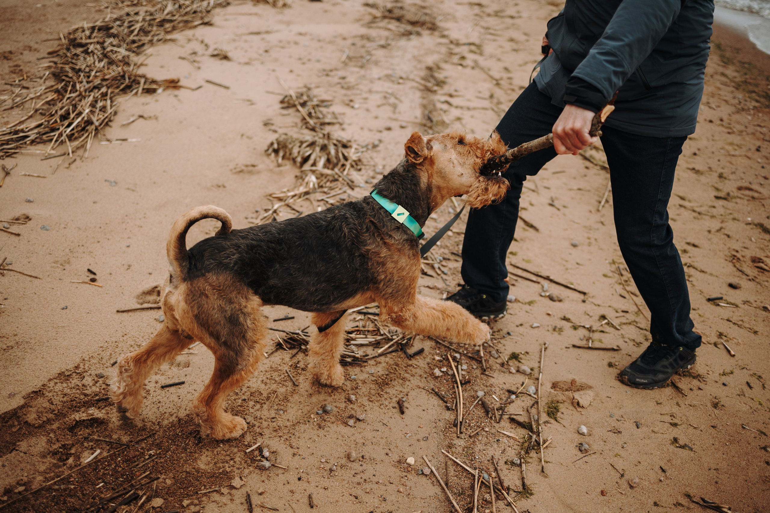 Вера и ее семья. Фотограф — Анималист | Санкт-Петербург