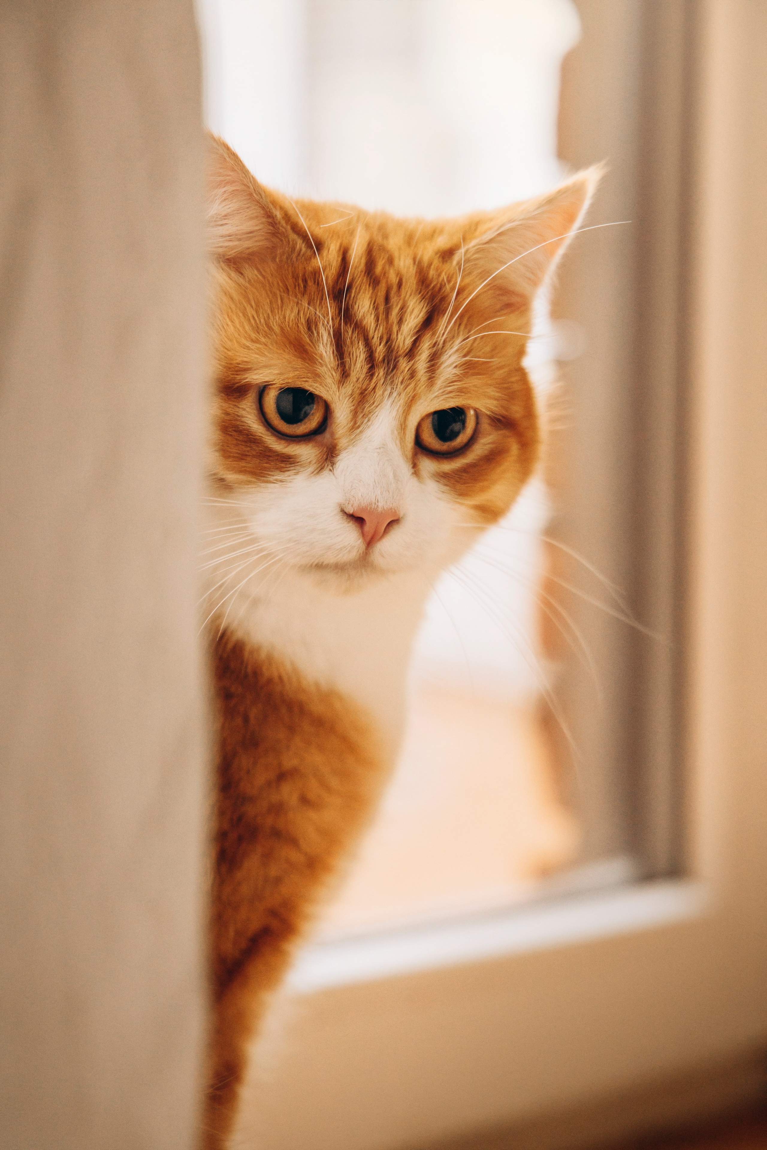 Аня и ее семья. Фотограф — Анималист | Санкт-Петербург