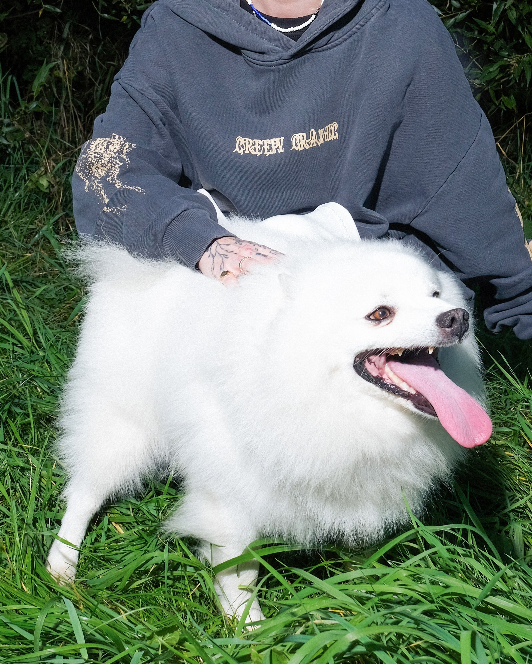 Creepy Crawl. Креативный продюсер / сет—дизайнер