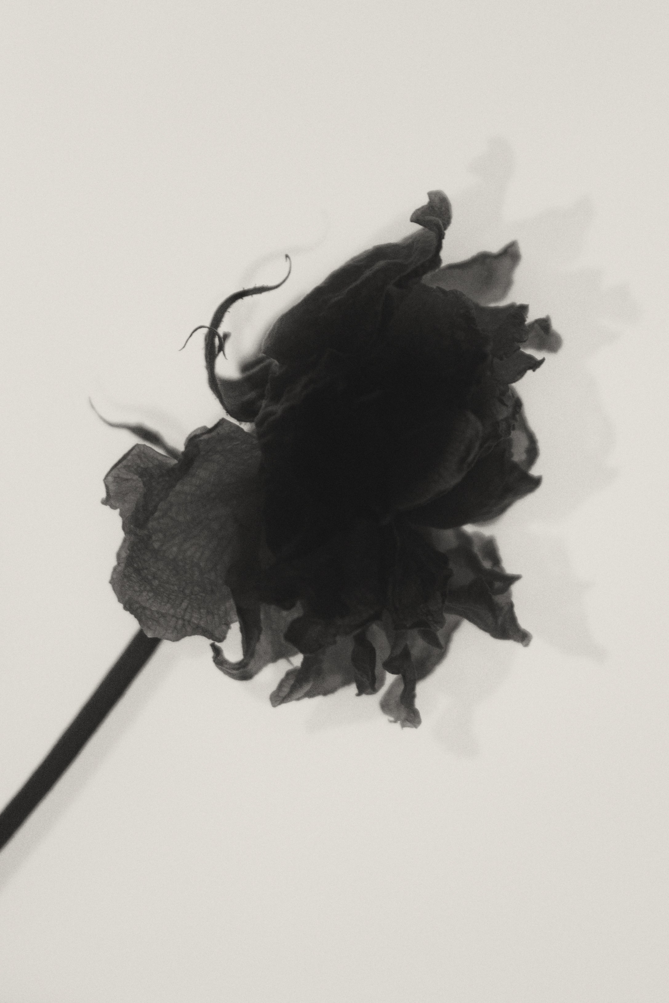 Dark arts. Уральский фотограф