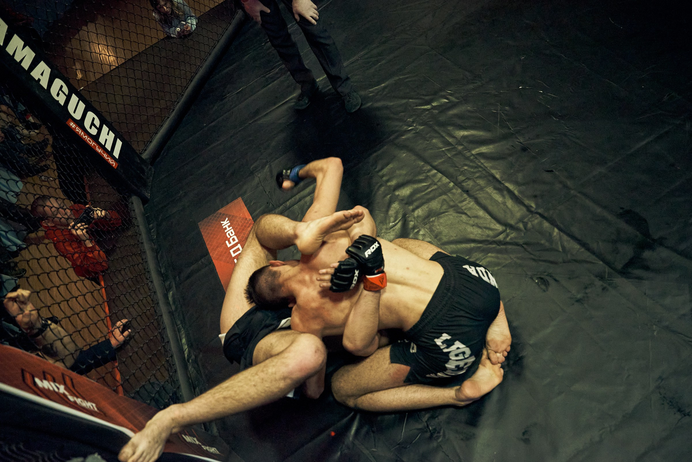 Бои. Маляревич Дмитрий свадебный фотограф