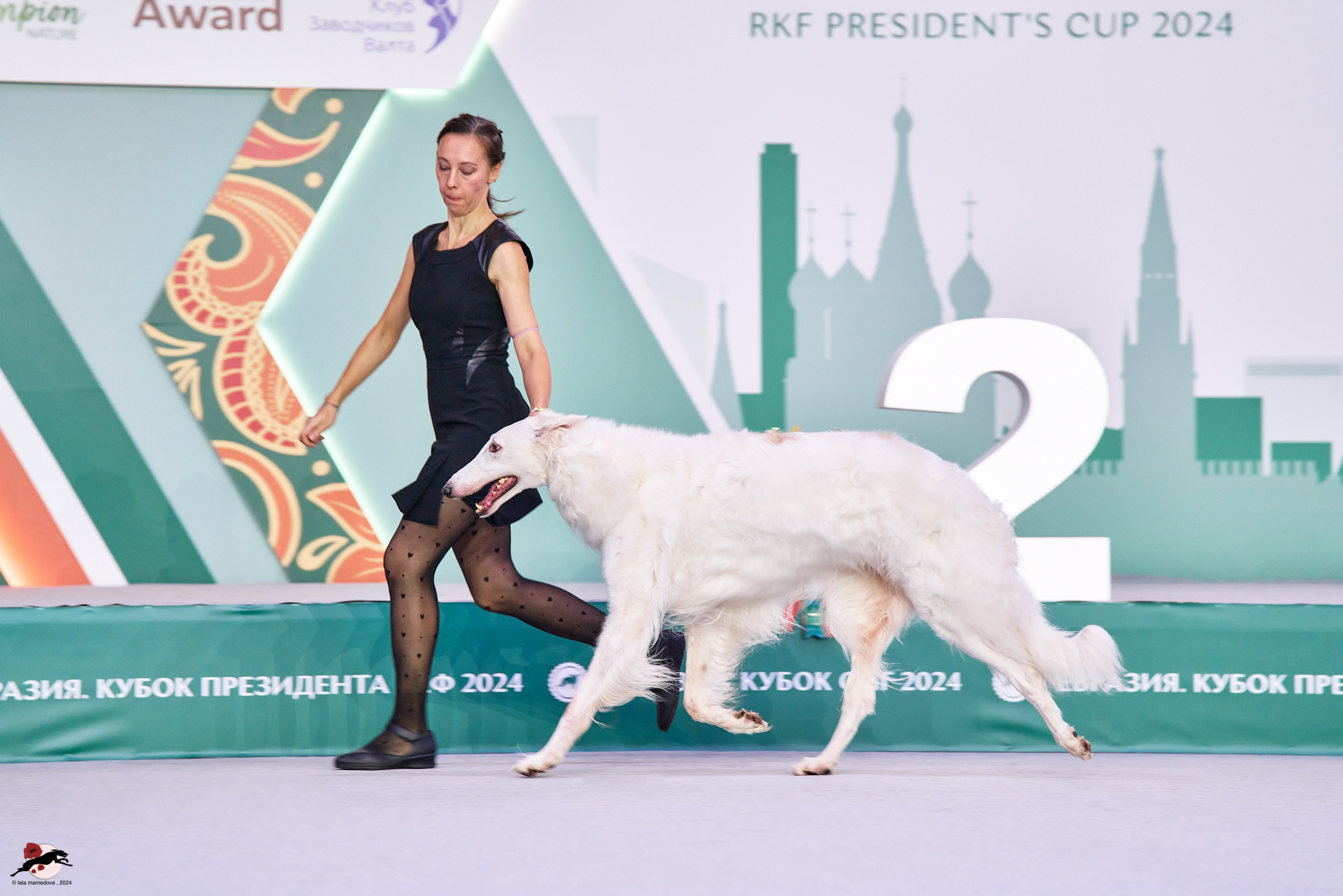 17.11.2024 «ЕВРАЗИЯ. КУБОК СНГ 2024»