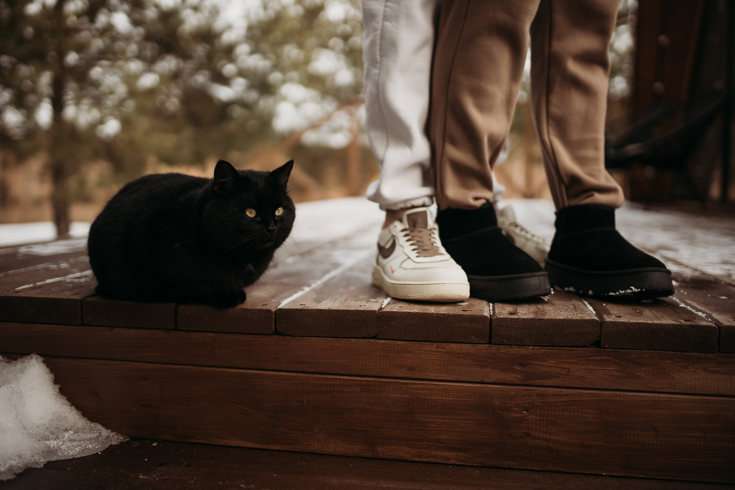 Агата и Женя. Семейный фотограф Губкин/Старый Оскол