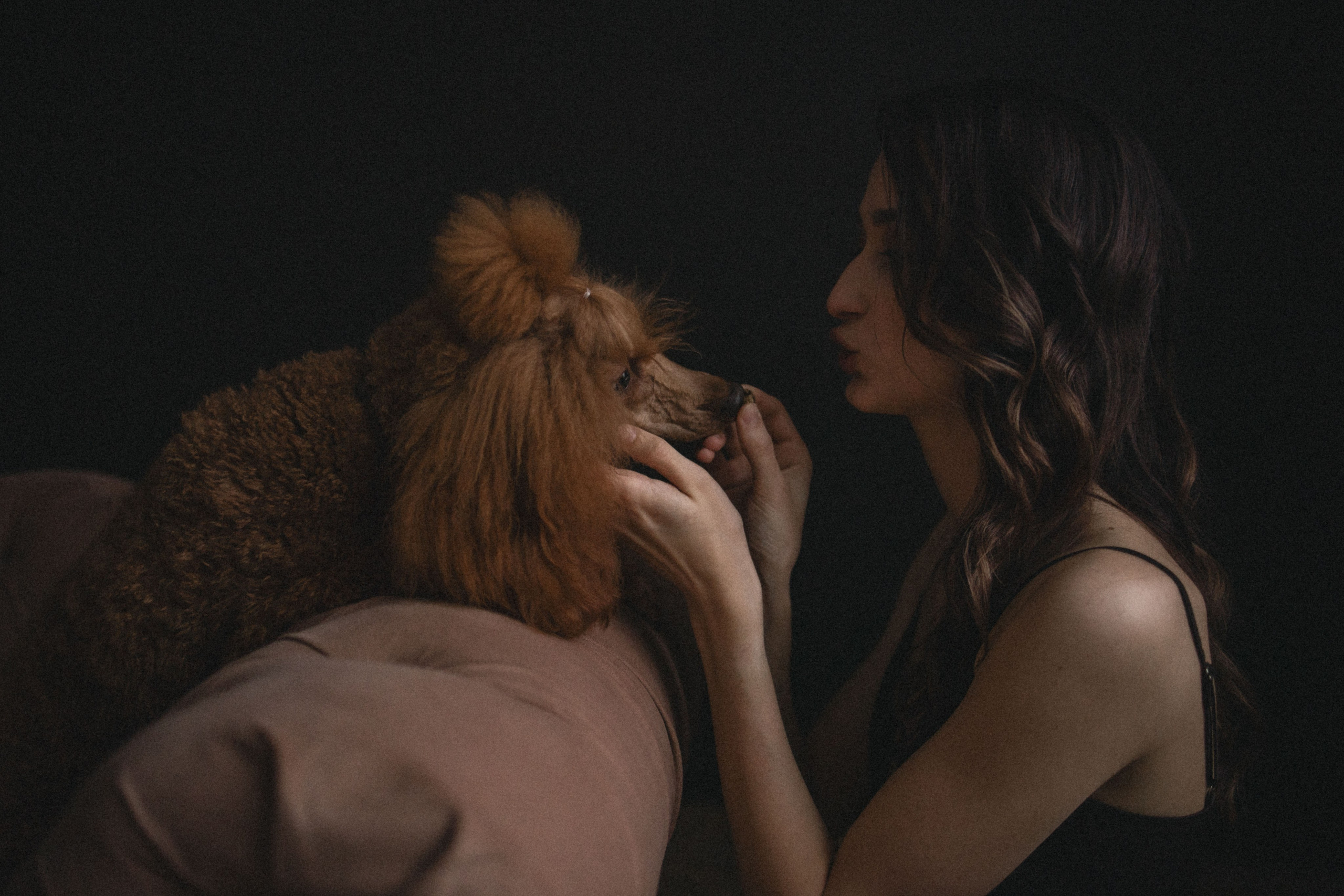 Пресеты. Фотограф — Анималист | Санкт-Петербург