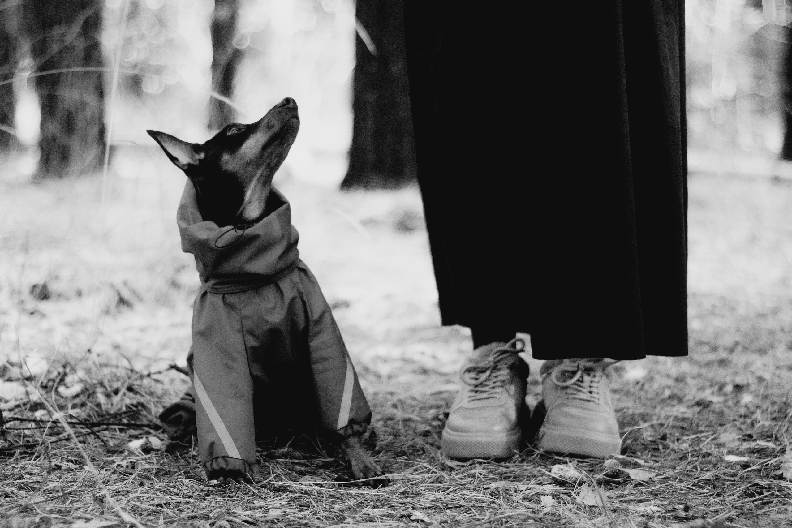 Людмила и Саймон. Фотограф в Тюмени Лизавета Сапицкая