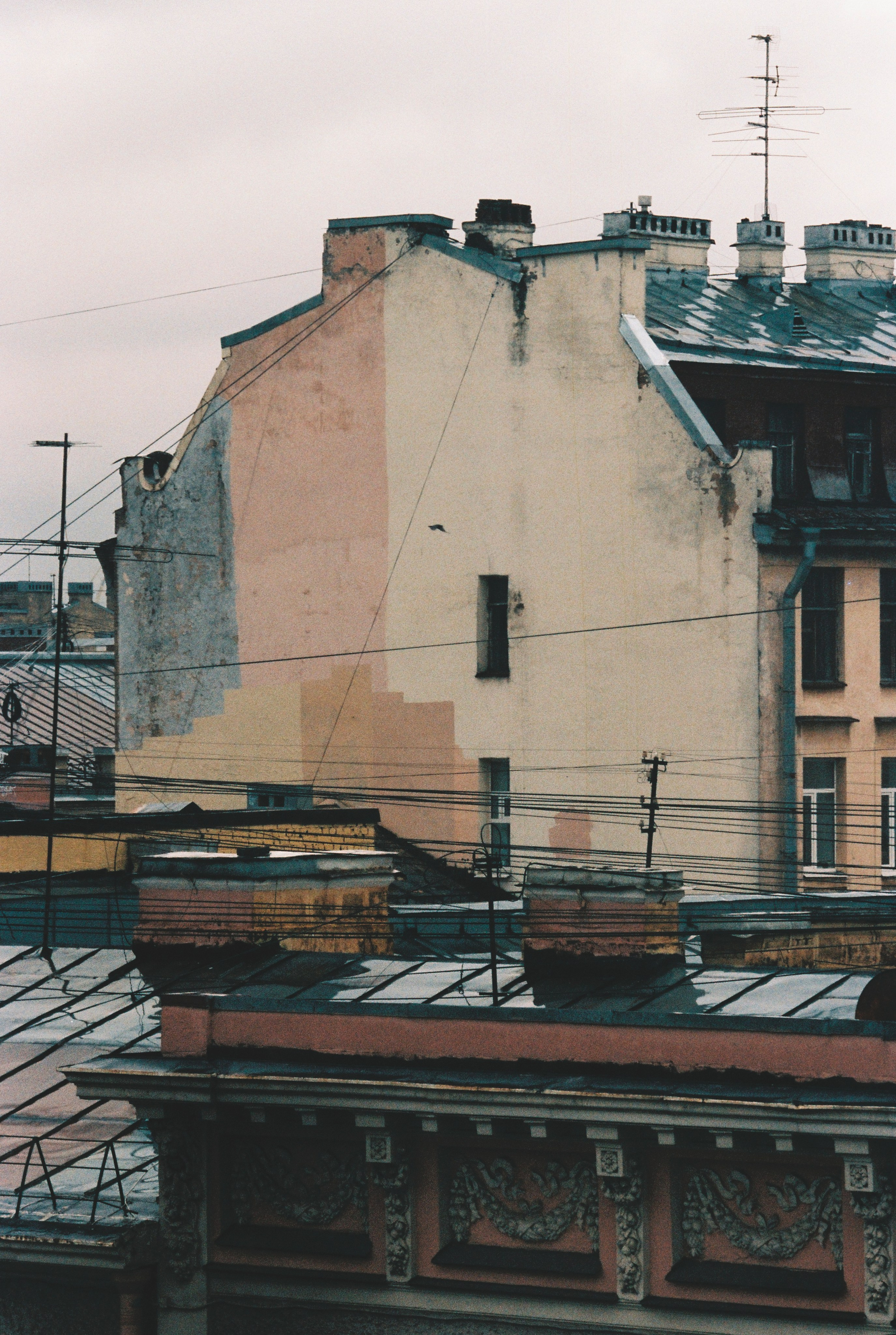 Фотографии цветные. Свадебный и семейный пленочный фотограф в Петербурге Истомина Ирина