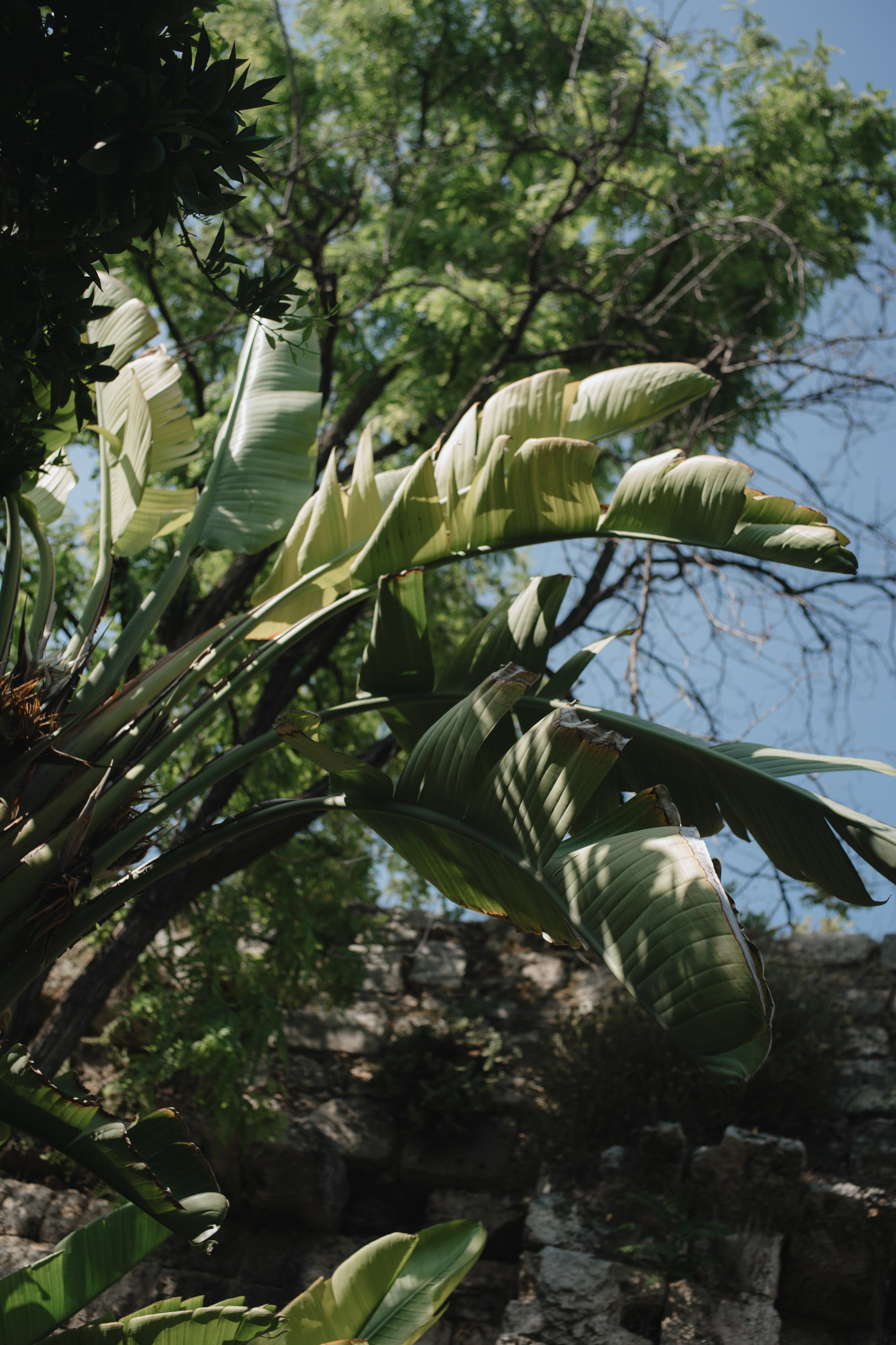 Casa Sur. Wedding & Documentary Photographer based in Nuremberg — available across Europe & Turkey | Vitalii Nasonov