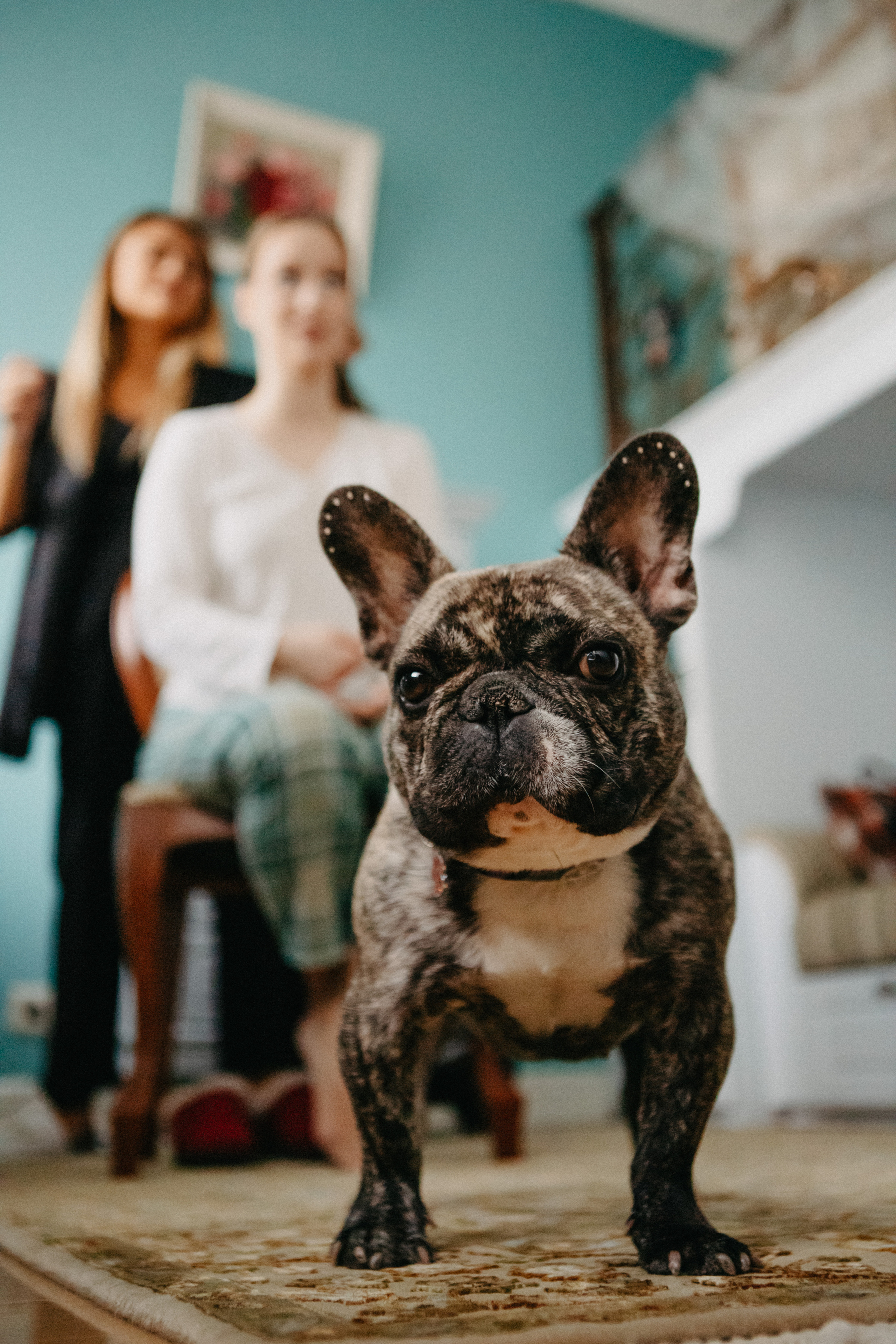Анонс со свадьбы Анастасии и Алексея / часть 1. Свадебный фотограф Москва и другие города