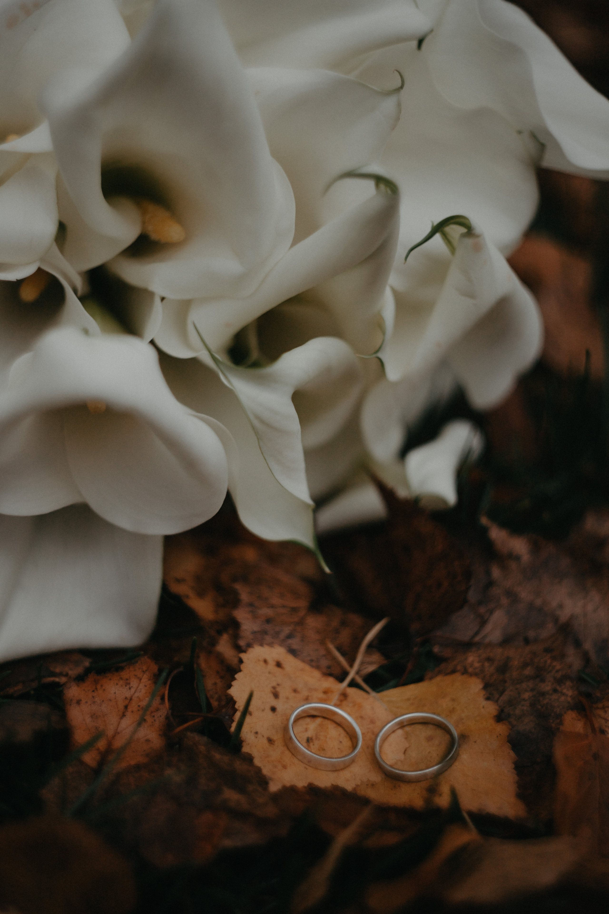 Анонс со свадьбы Нади и Вадима. Свадебный фотограф Москва и другие города