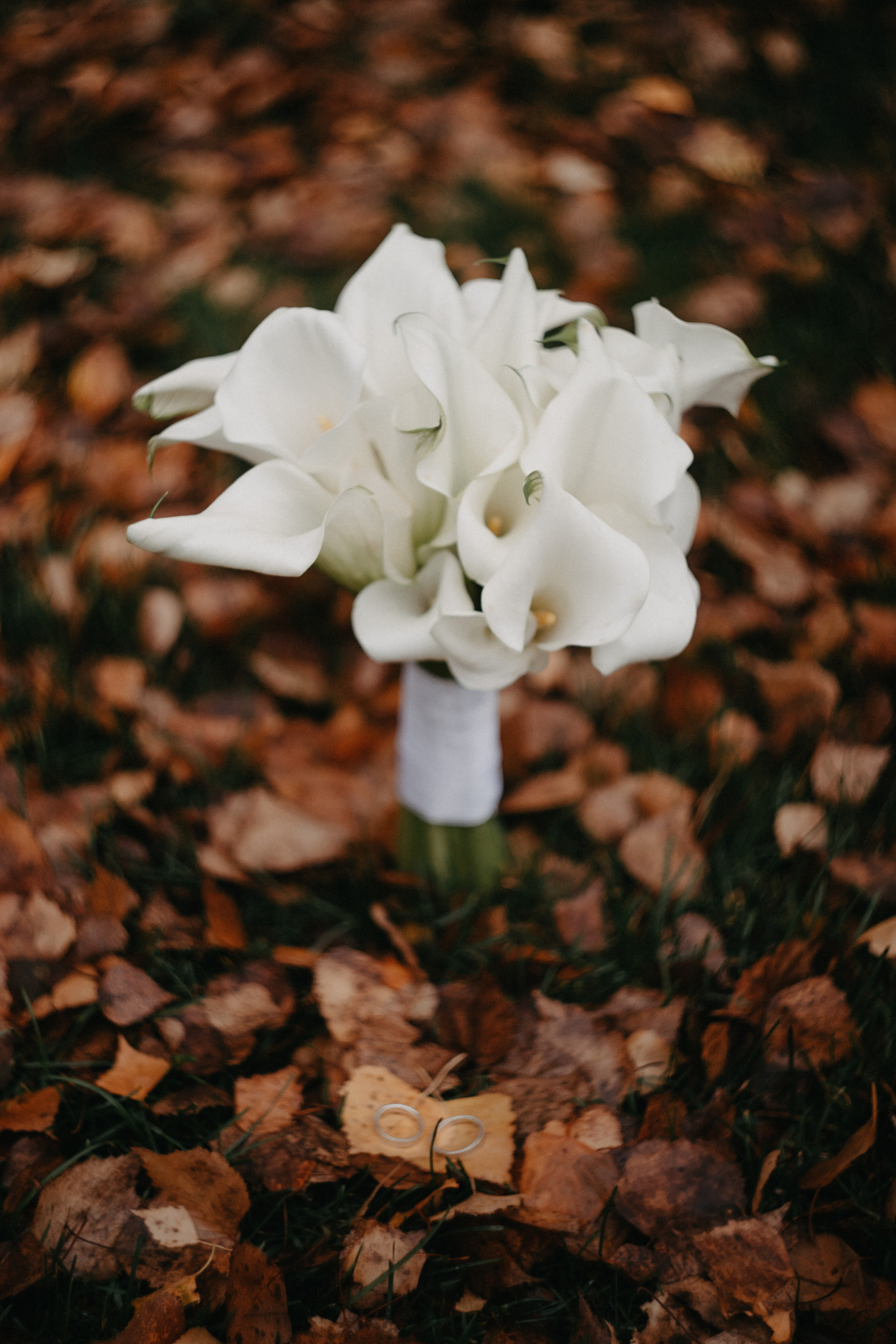 Анонс со свадьбы Нади и Вадима. Свадебный фотограф Москва и другие города