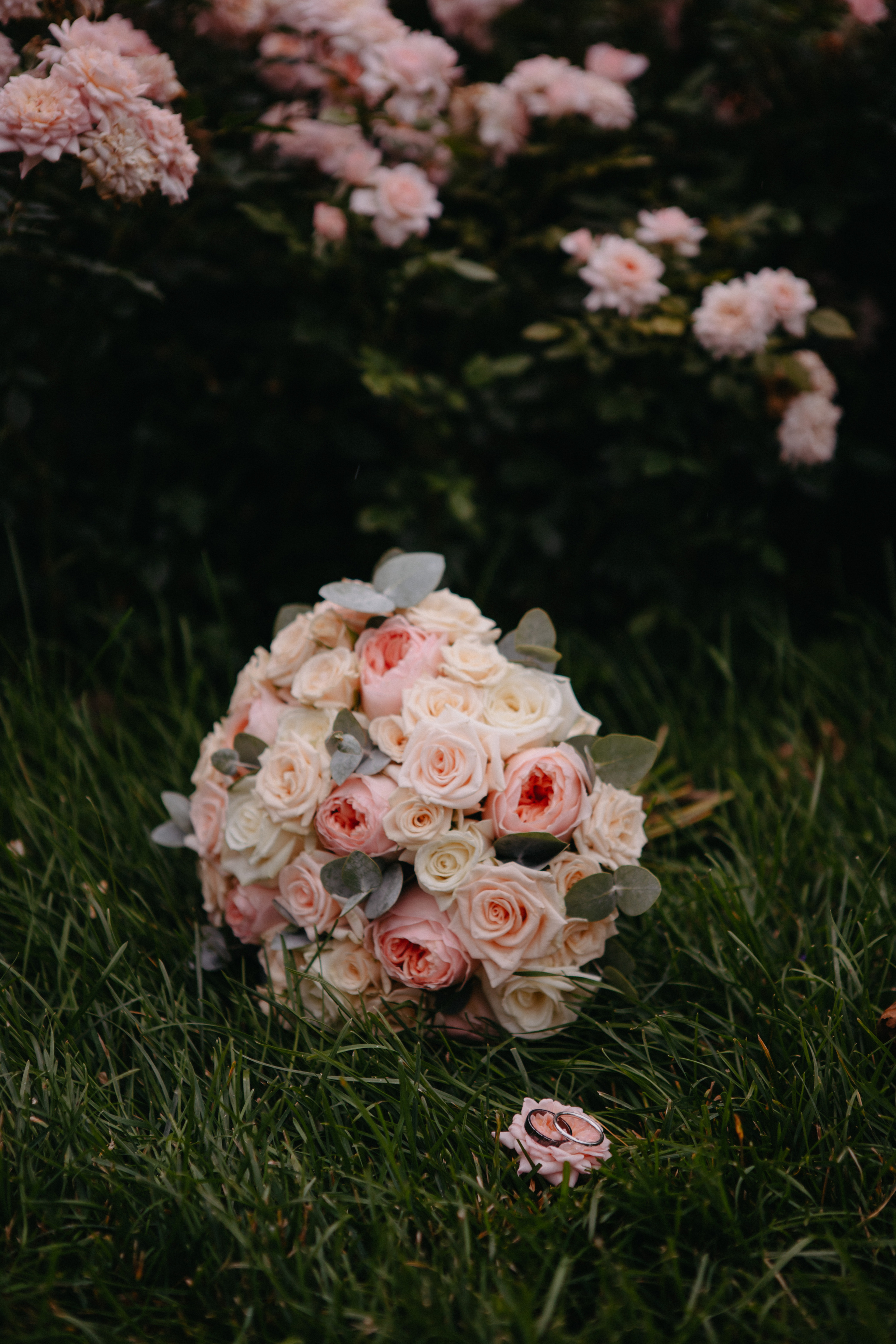 Анонс со свадьбы Марии и Владислава. Свадебный фотограф Москва и другие города