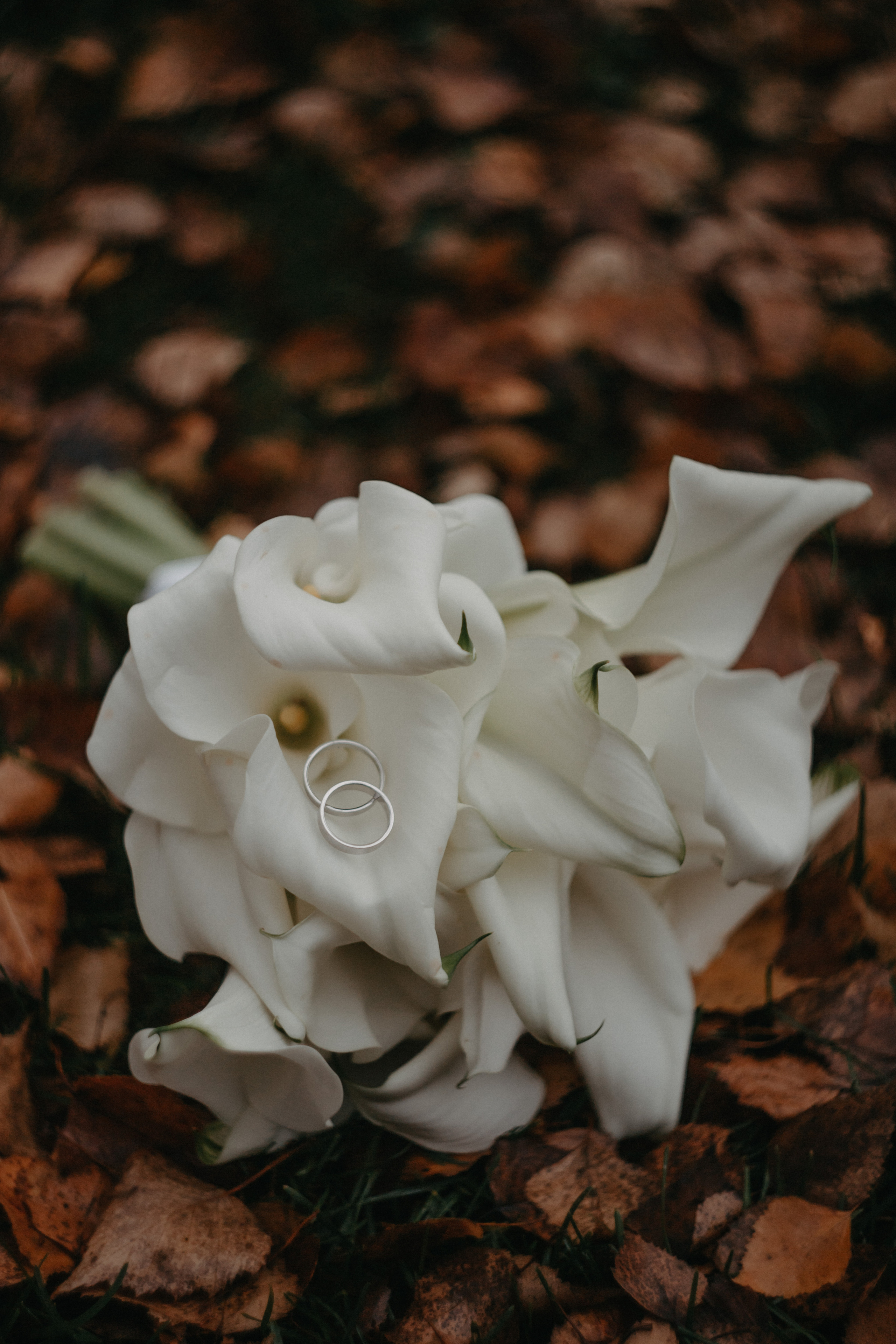 Анонс со свадьбы Нади и Вадима. Свадебный фотограф Москва и другие города