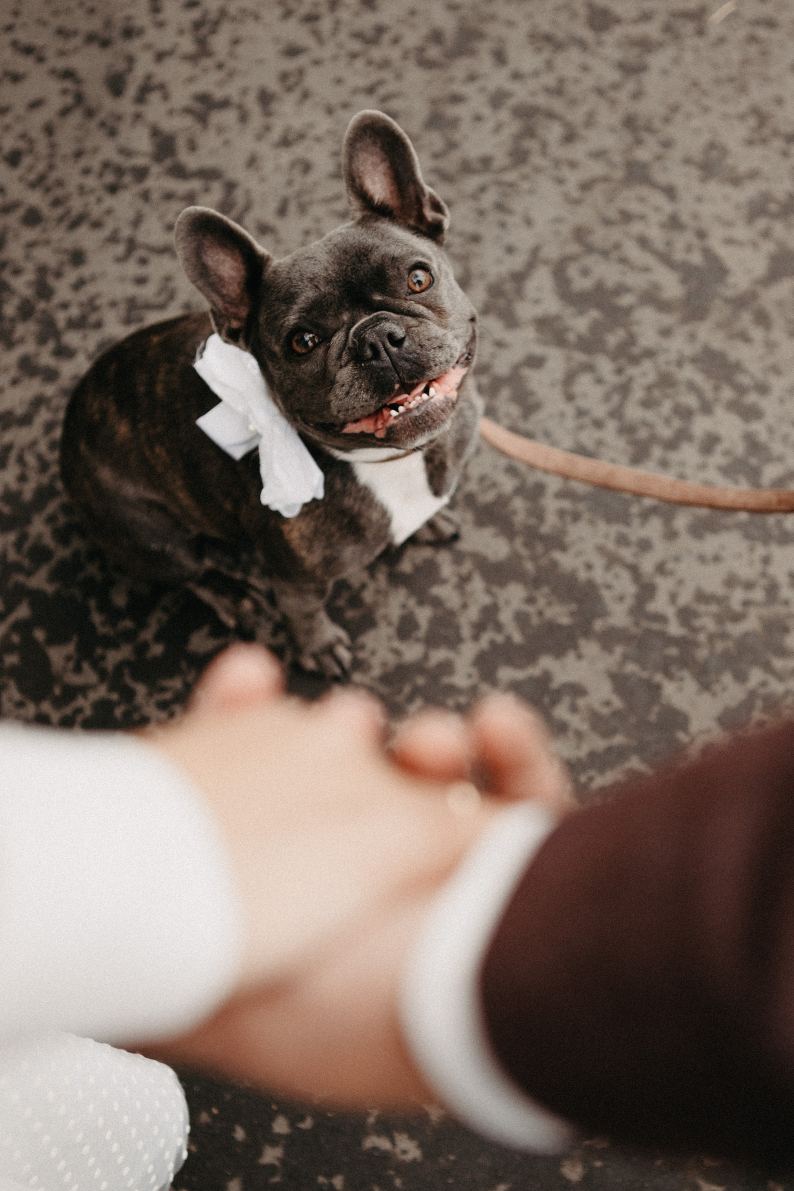 Анонс со свадьбы Светы и Саши 🤍. Свадебный фотограф Москва и другие города