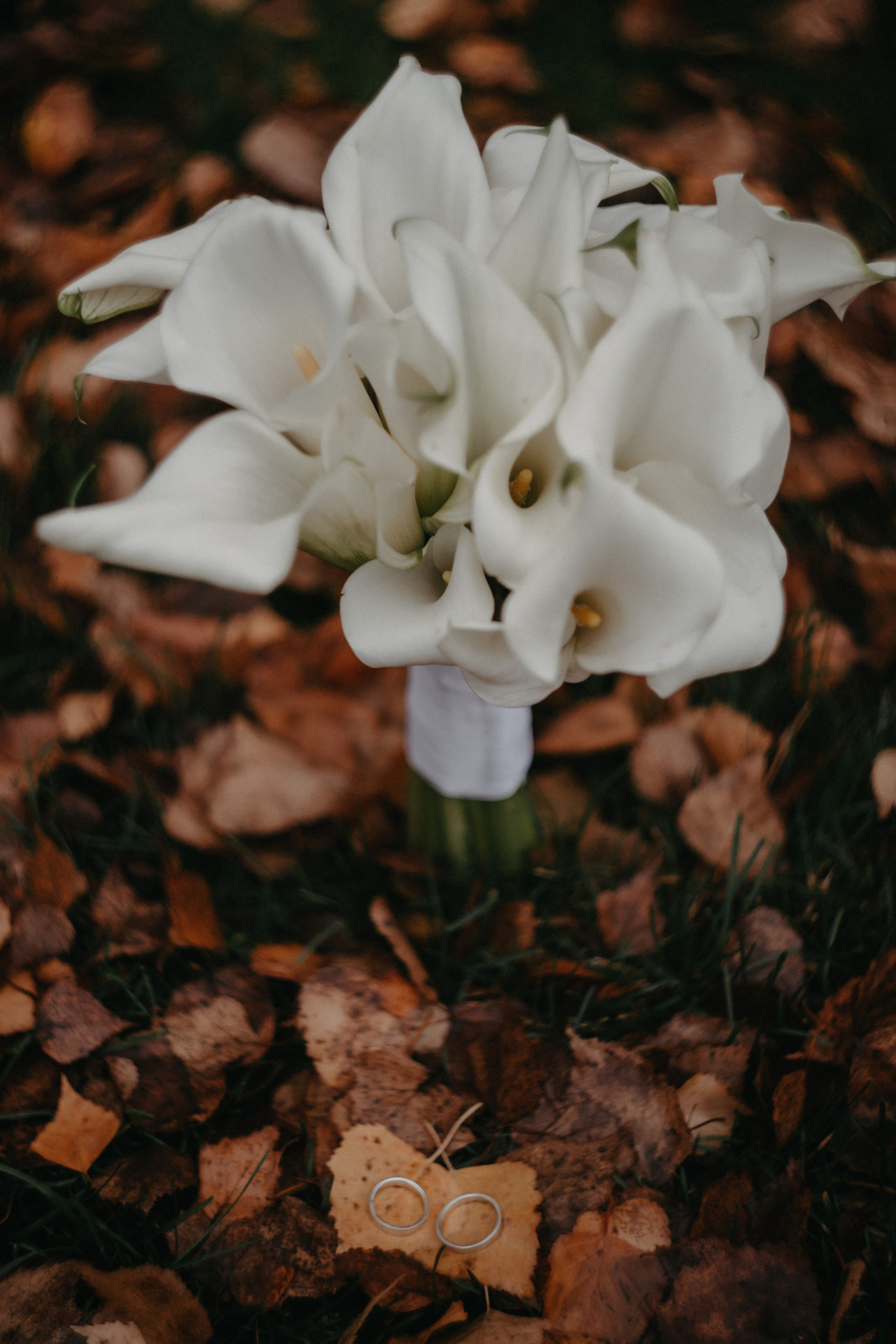 Анонс со свадьбы Нади и Вадима. Свадебный фотограф Москва и другие города