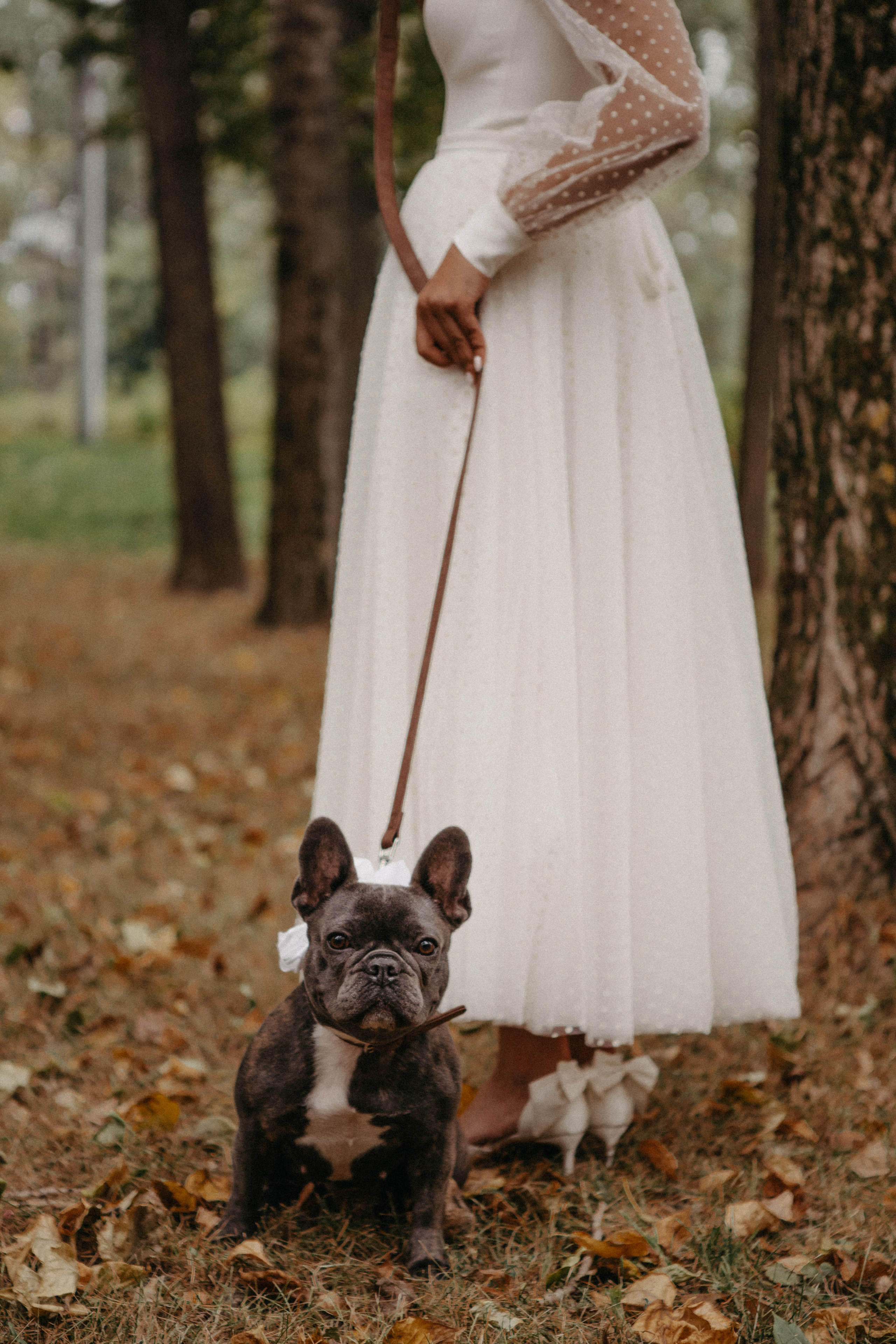 Анонс со свадьбы Светы и Саши 🤍. Свадебный фотограф Москва и другие города