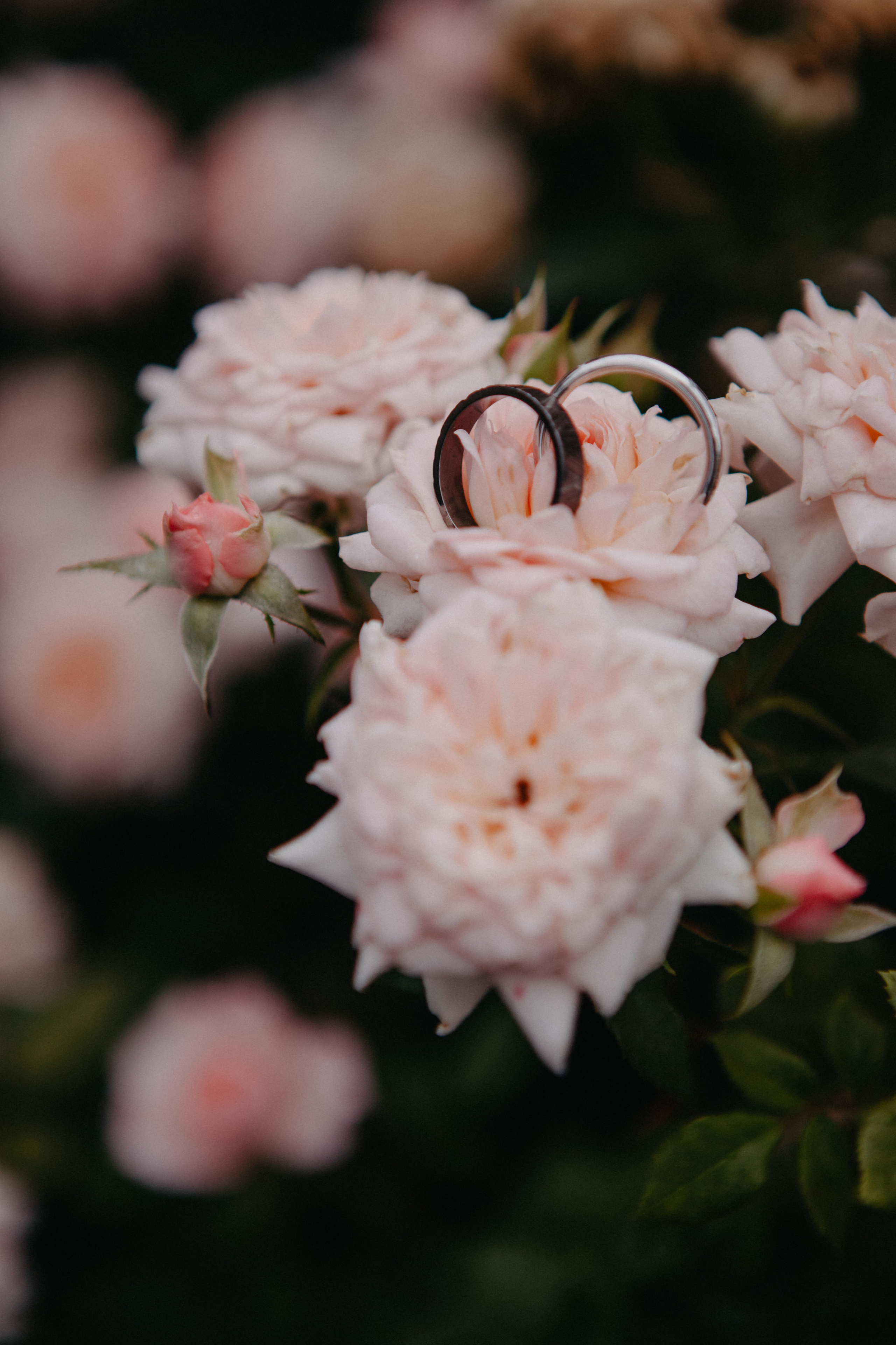 Анонс со свадьбы Марии и Владислава. Свадебный фотограф Москва и другие города
