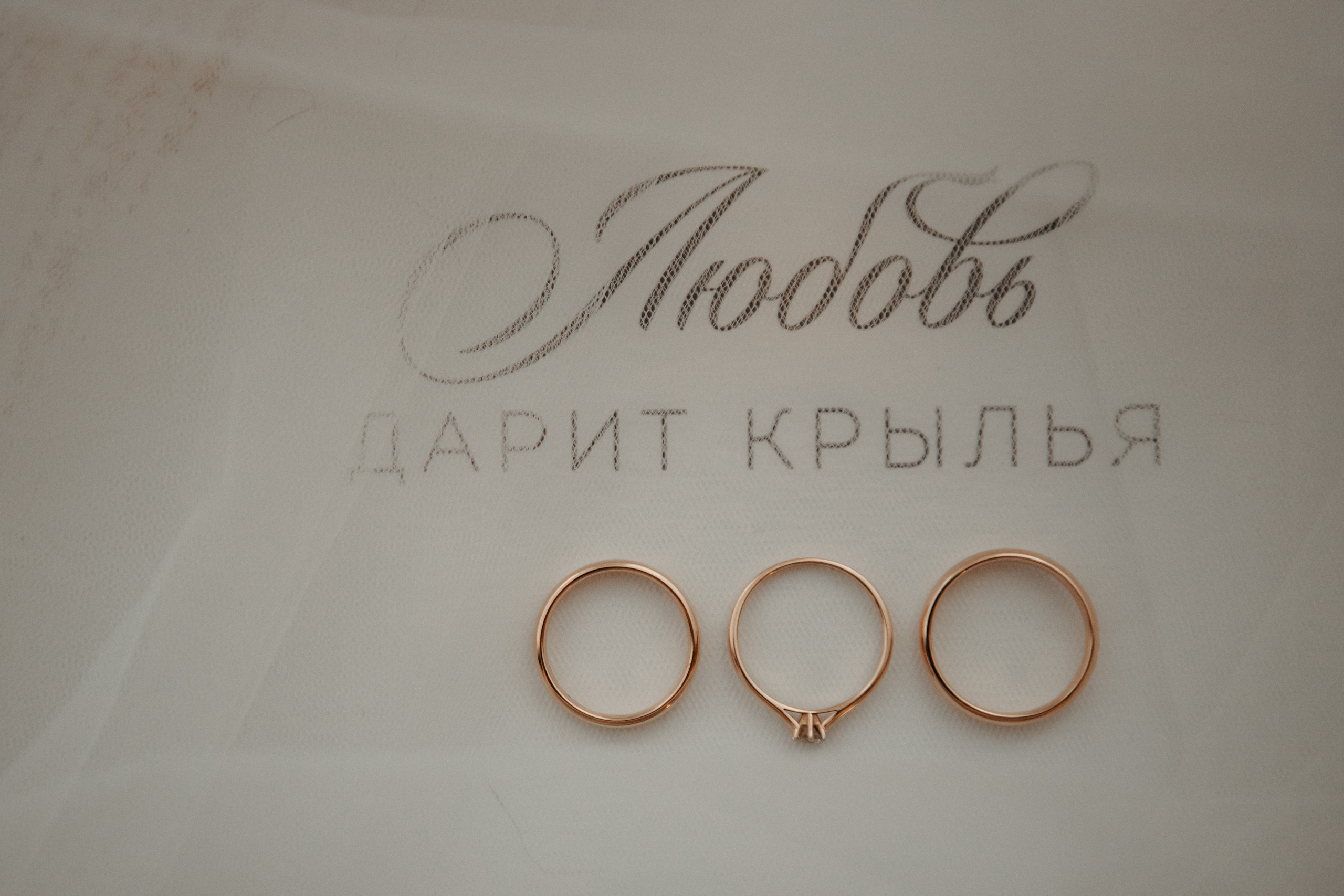 Анонс со свадьбы Натальи и Дениса. Свадебный фотограф Москва и другие города