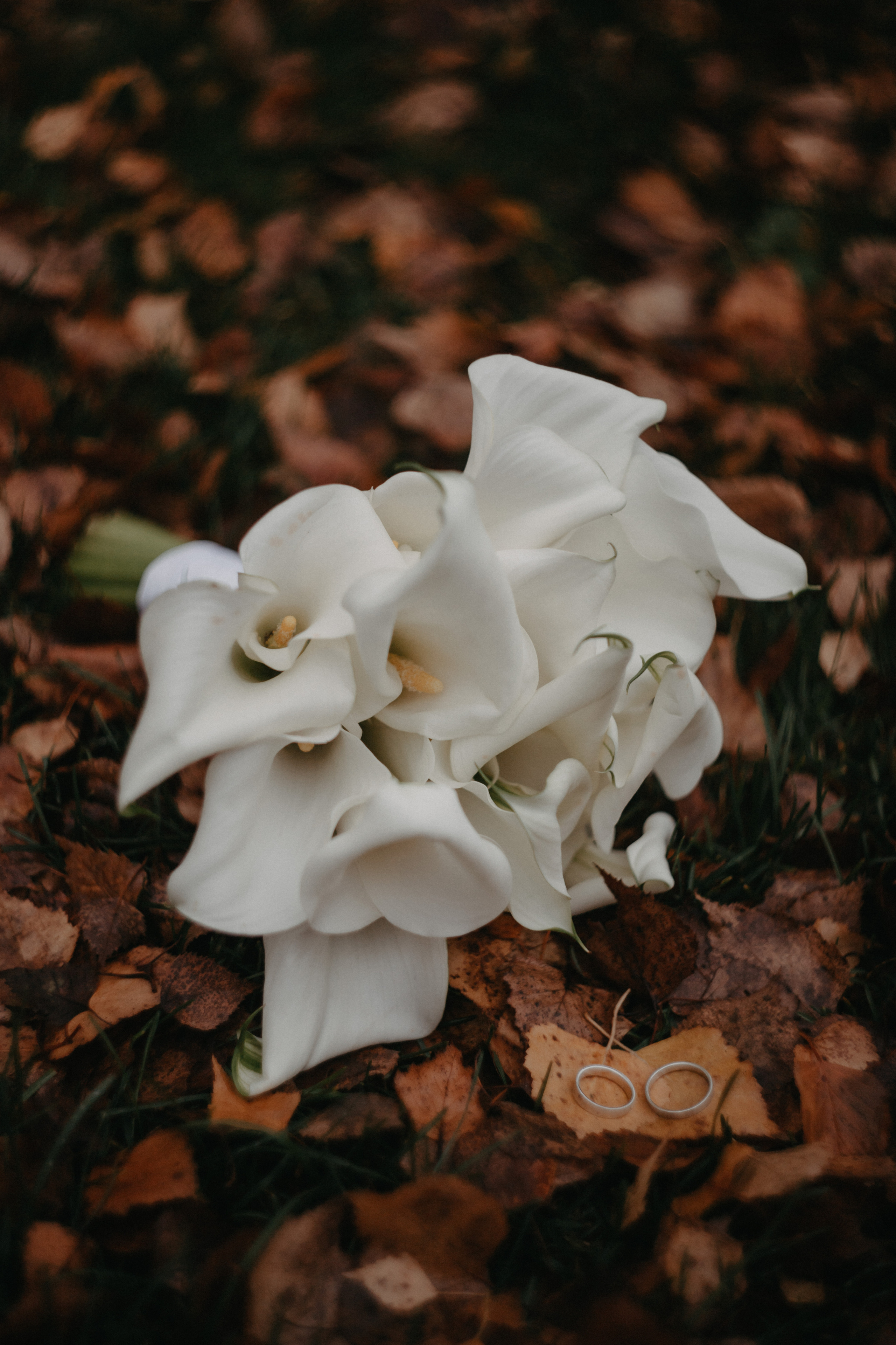 Анонс со свадьбы Нади и Вадима. Свадебный фотограф Москва и другие города