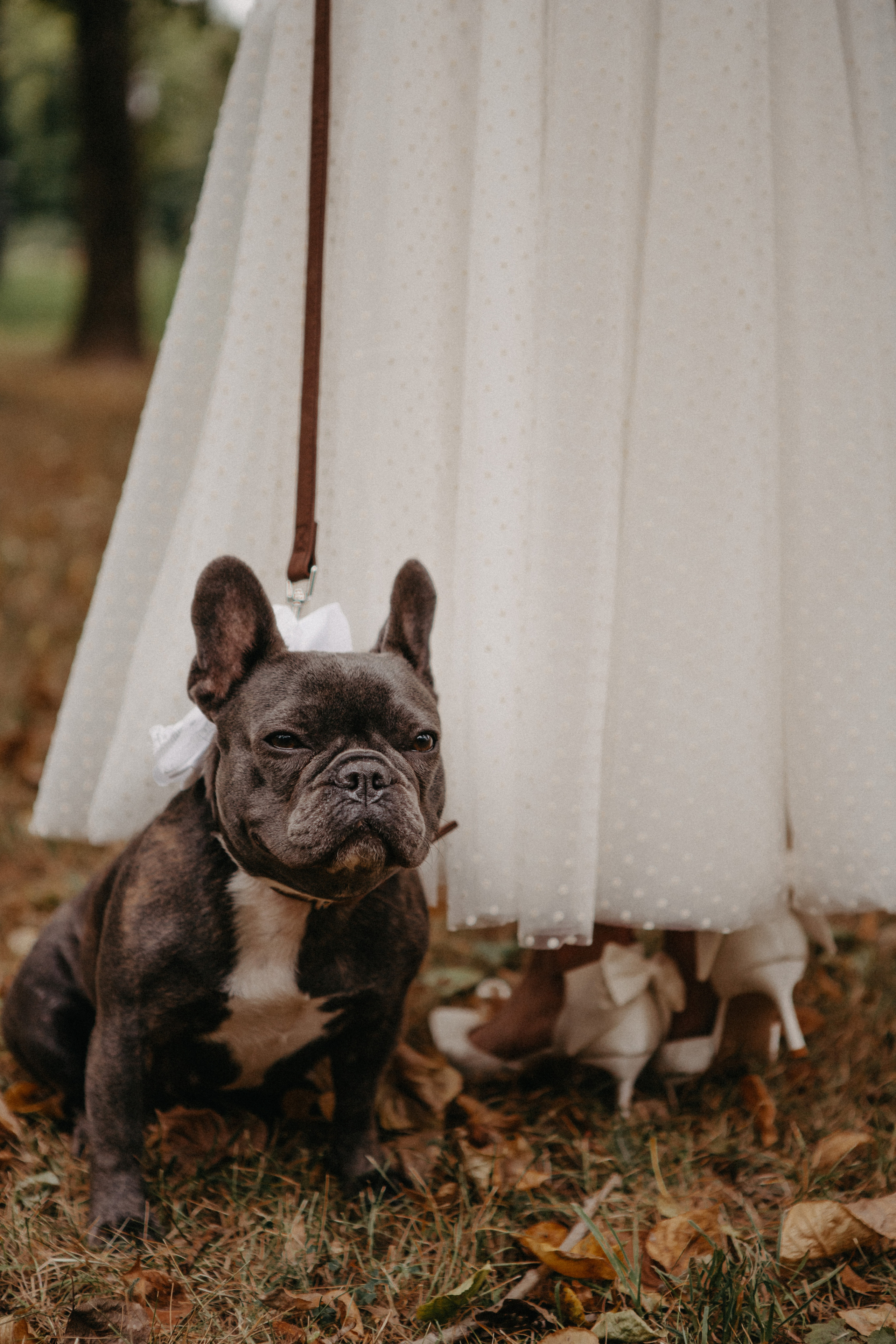 Анонс со свадьбы Светы и Саши 🤍. Свадебный фотограф Москва и другие города