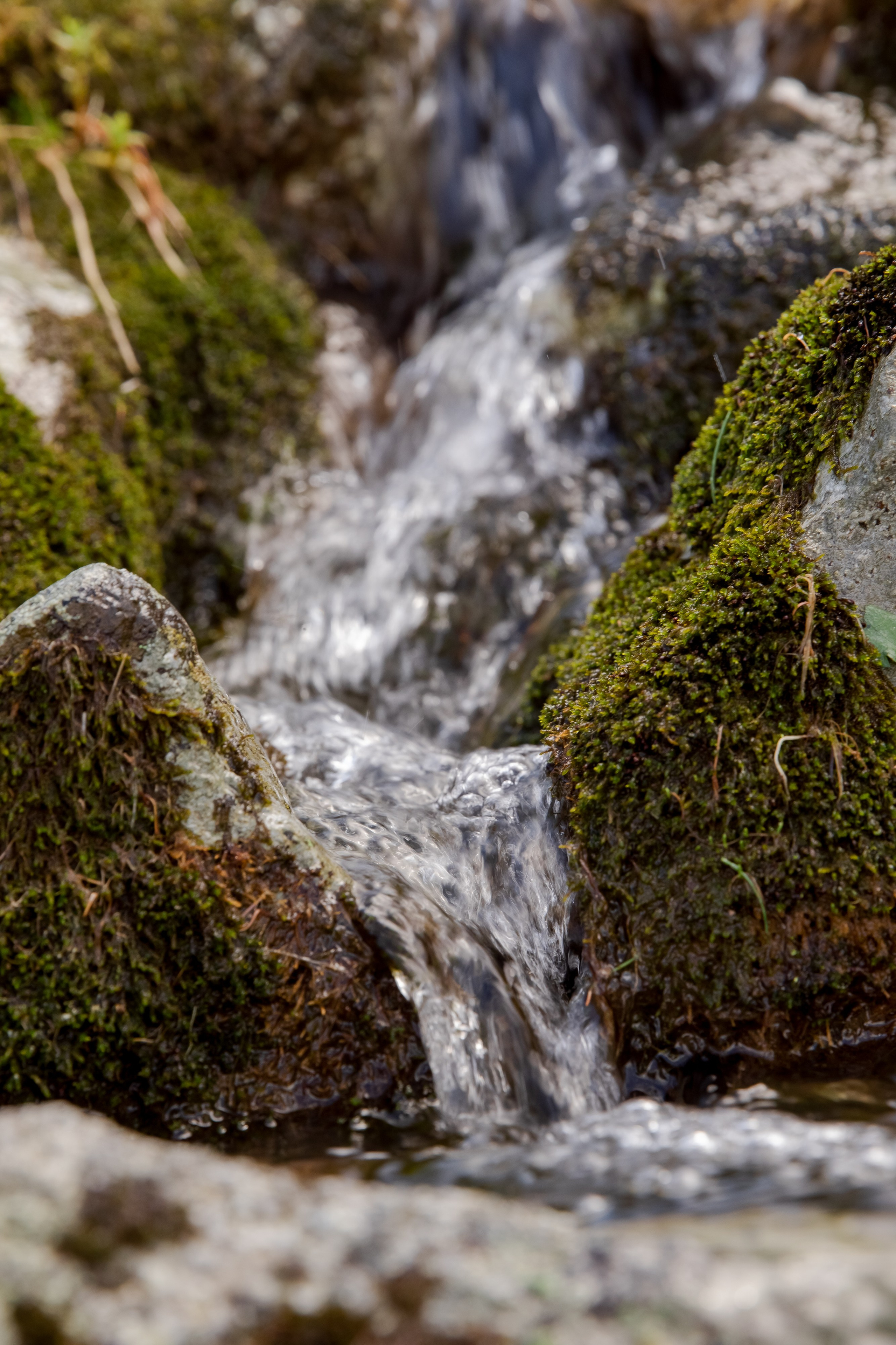 Казахстан. Фотограф Кирилл Мешков Кемерово