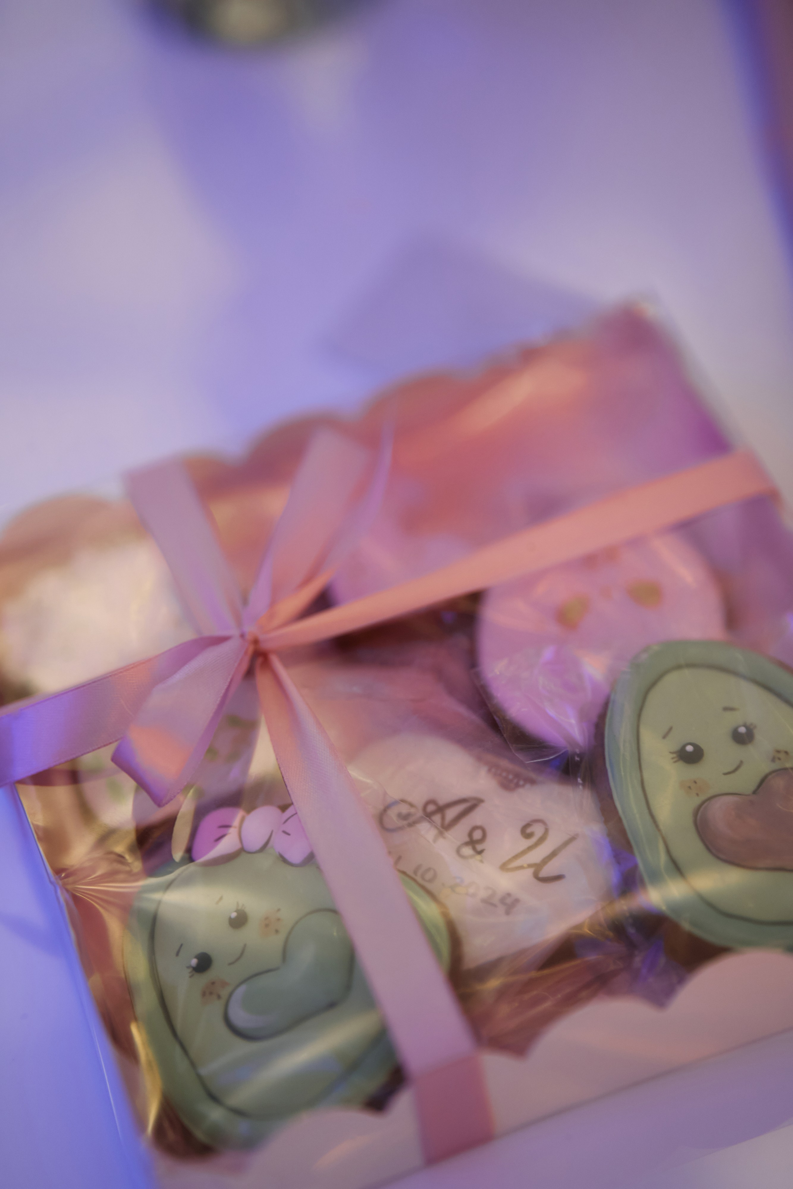 Алина и Илья. Свадебный фотограф Минск РБ