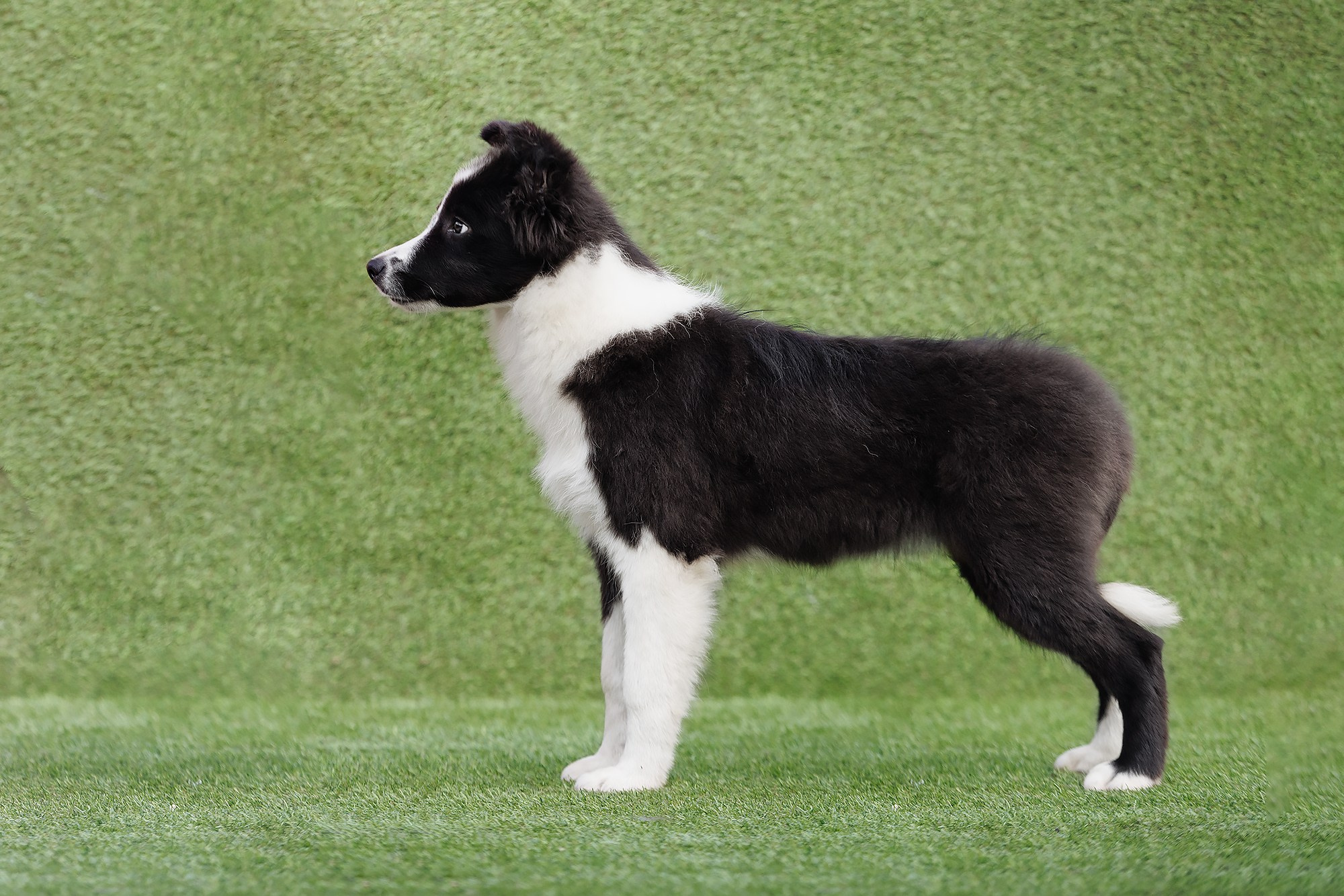 Трава у дома. О нас