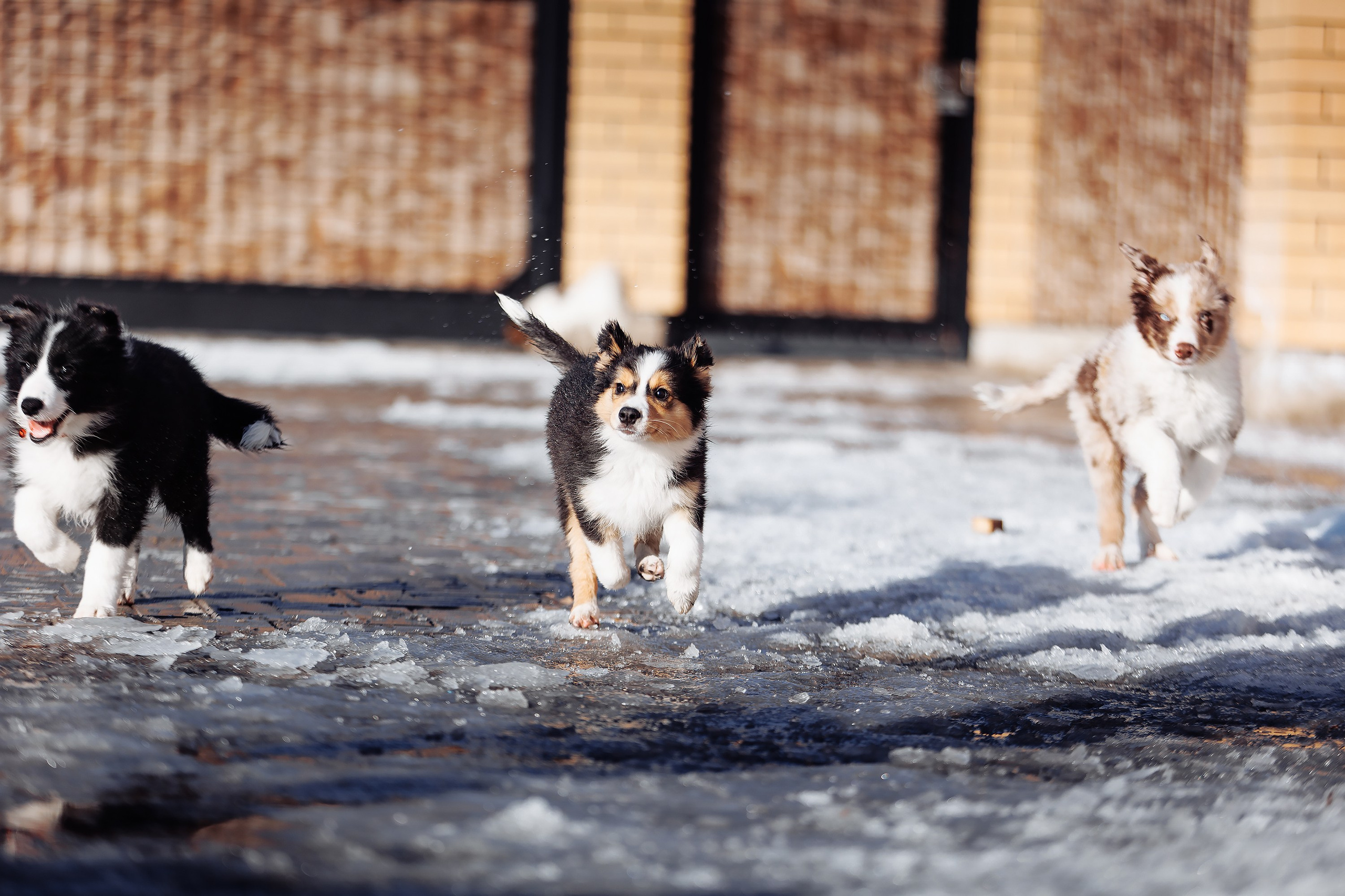 Пока таяло. О нас