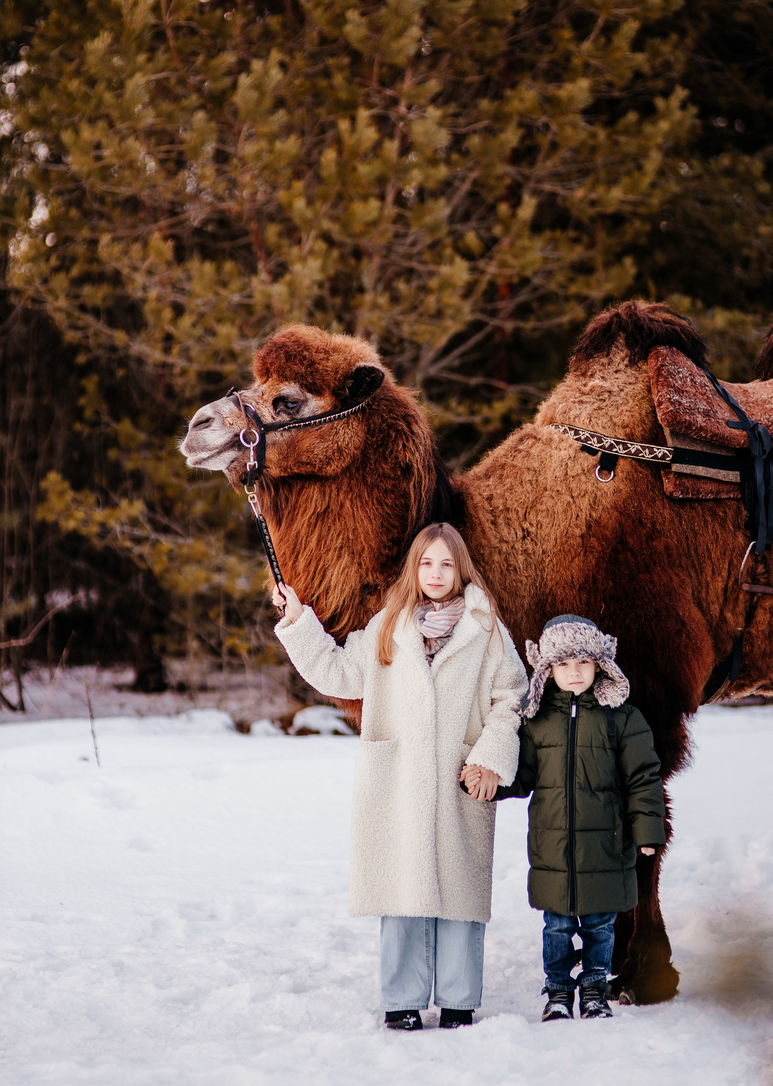 Леденящее приключение. Фотосессии Фотодни Псков СПб