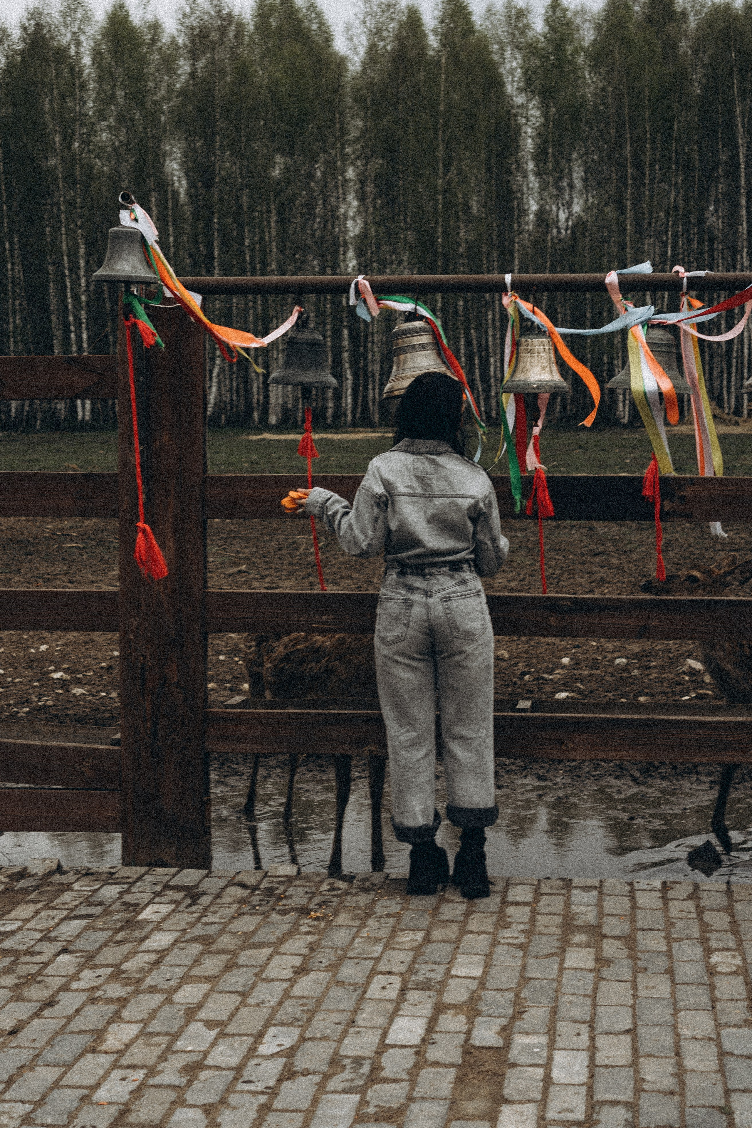 ОЛЕНЬЯ ФЕРМА В ТВЕРИ. Профессиональный фотограф, Санкт-Петербург — Виктория Богомолова