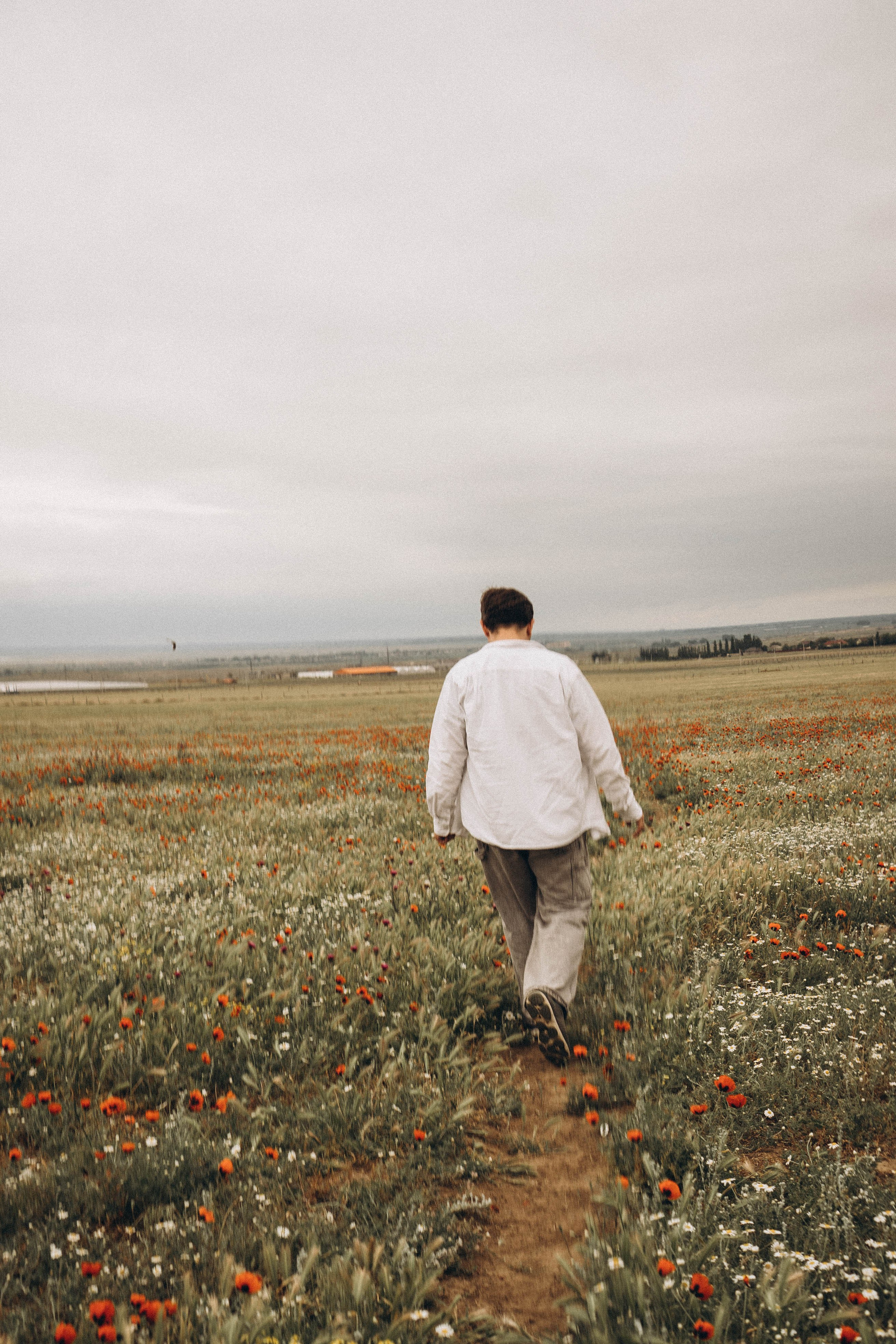 Маки. Профессиональный фотограф, Санкт-Петербург — Виктория Богомолова