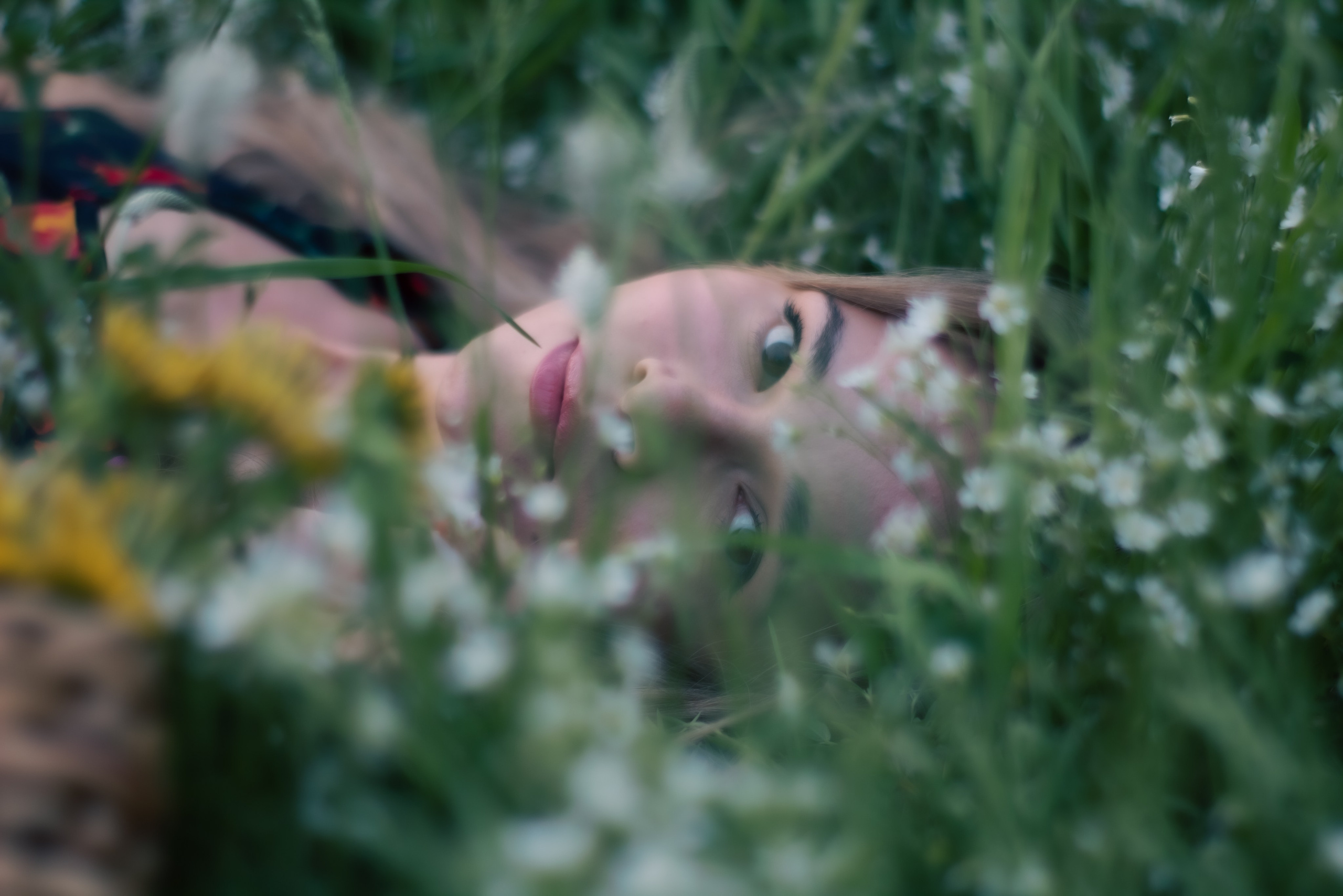 Lilac. Свадебный и семейный фотограф в Красноярске Леонид Максимов