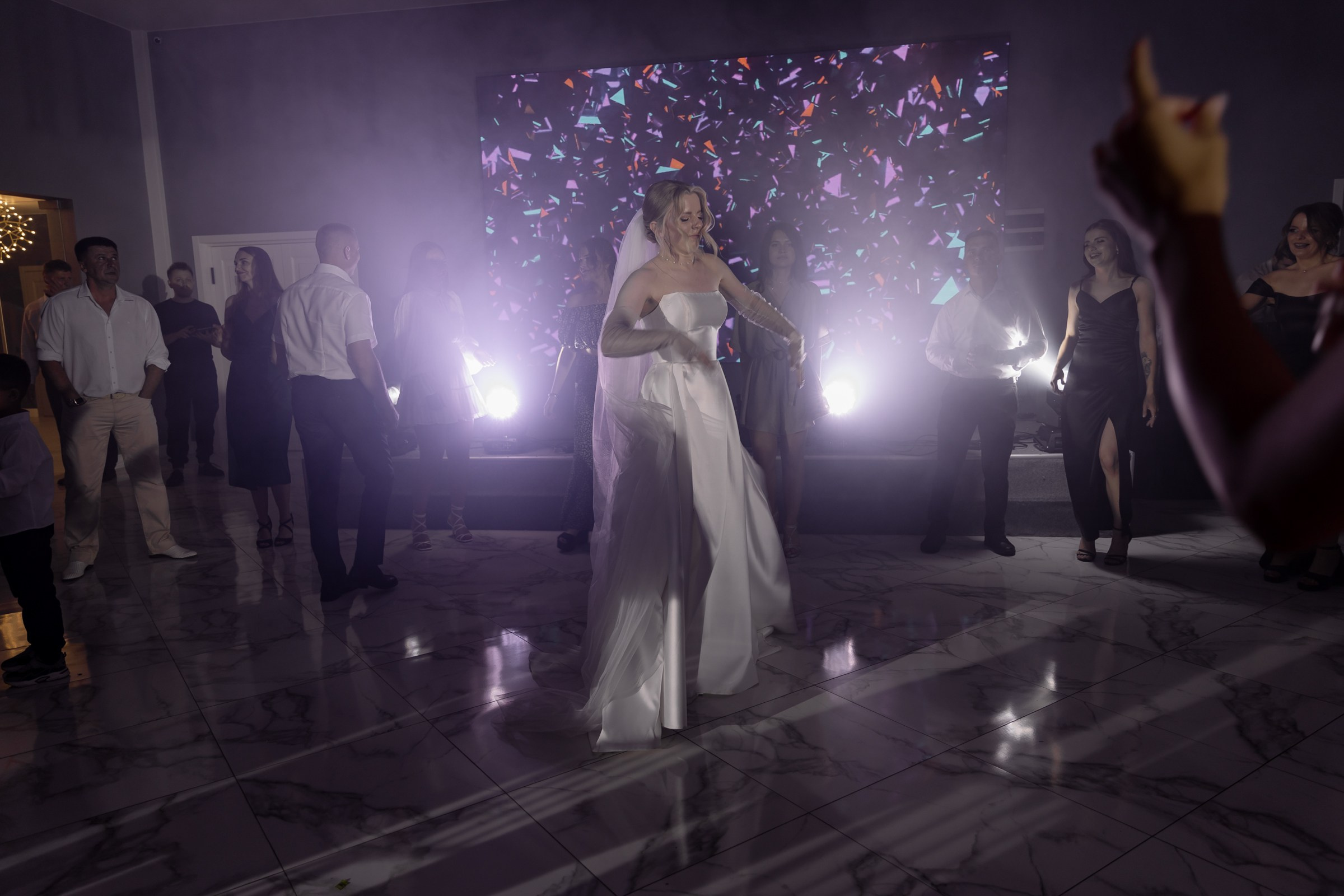 Свадьба пес и котики. Dima Lemeshevsky