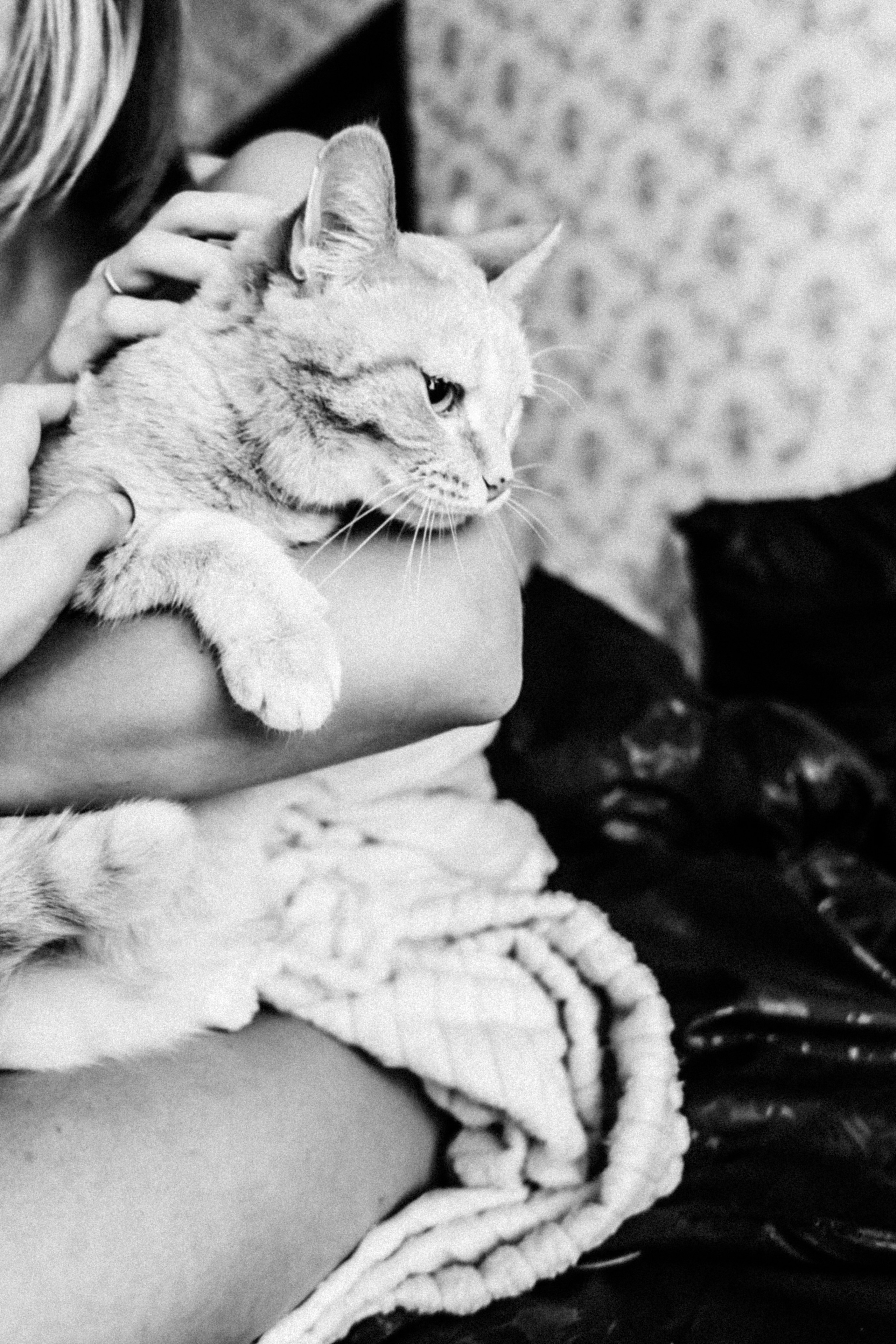 А+ А. Домашний вайб. Фотограф в Нижнем Новгороде