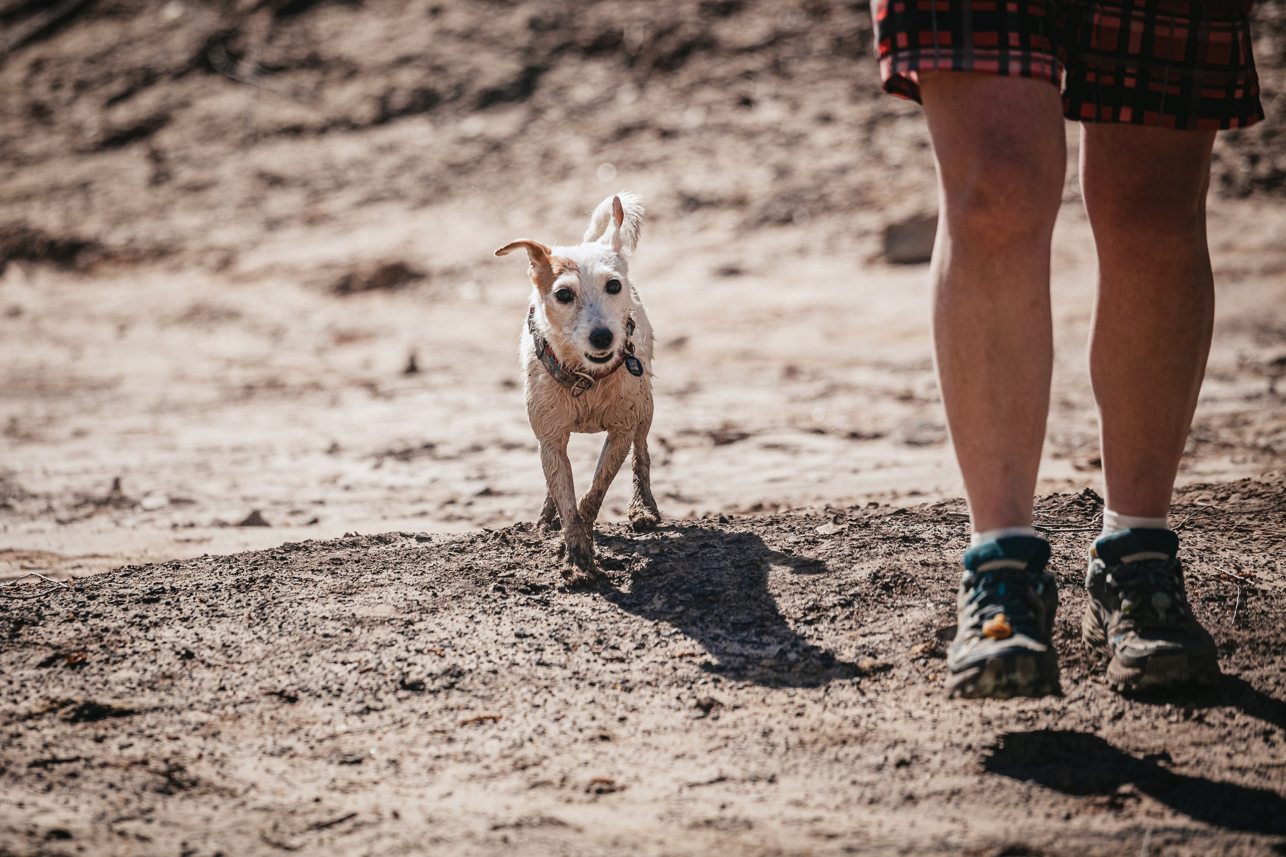 Кондуки. Фотограф-анималист Татьяна Степанова